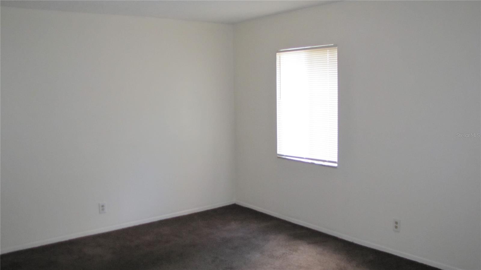 7506 Needle Leaf Pl #56 Property Photo 7