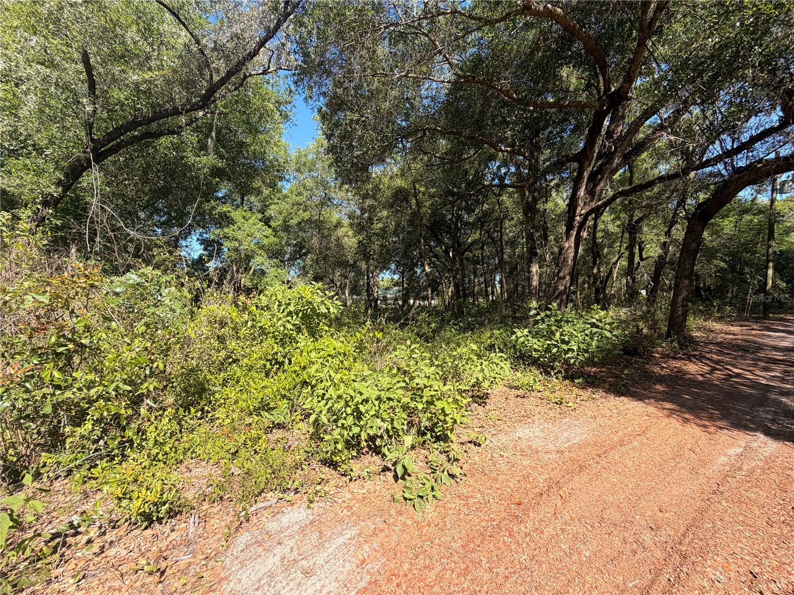 10185 Creekfield Rd Property Photo 1