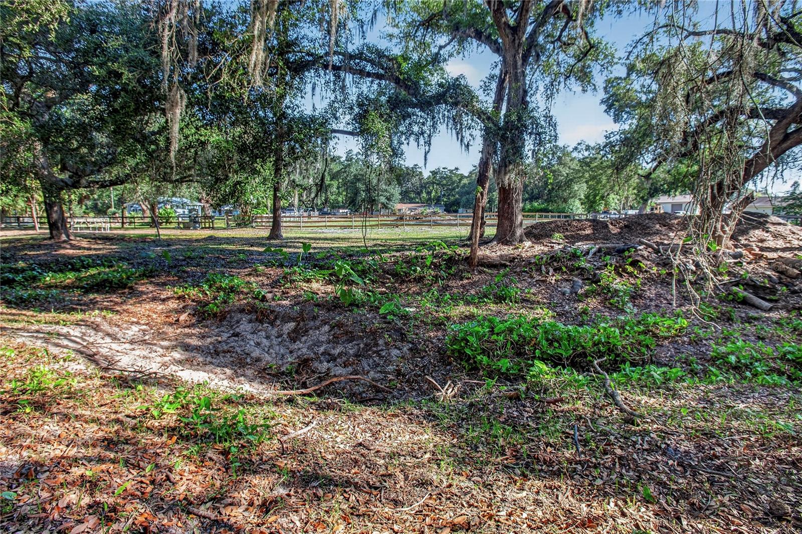 10627 Mcintosh Rd Property Photo 20