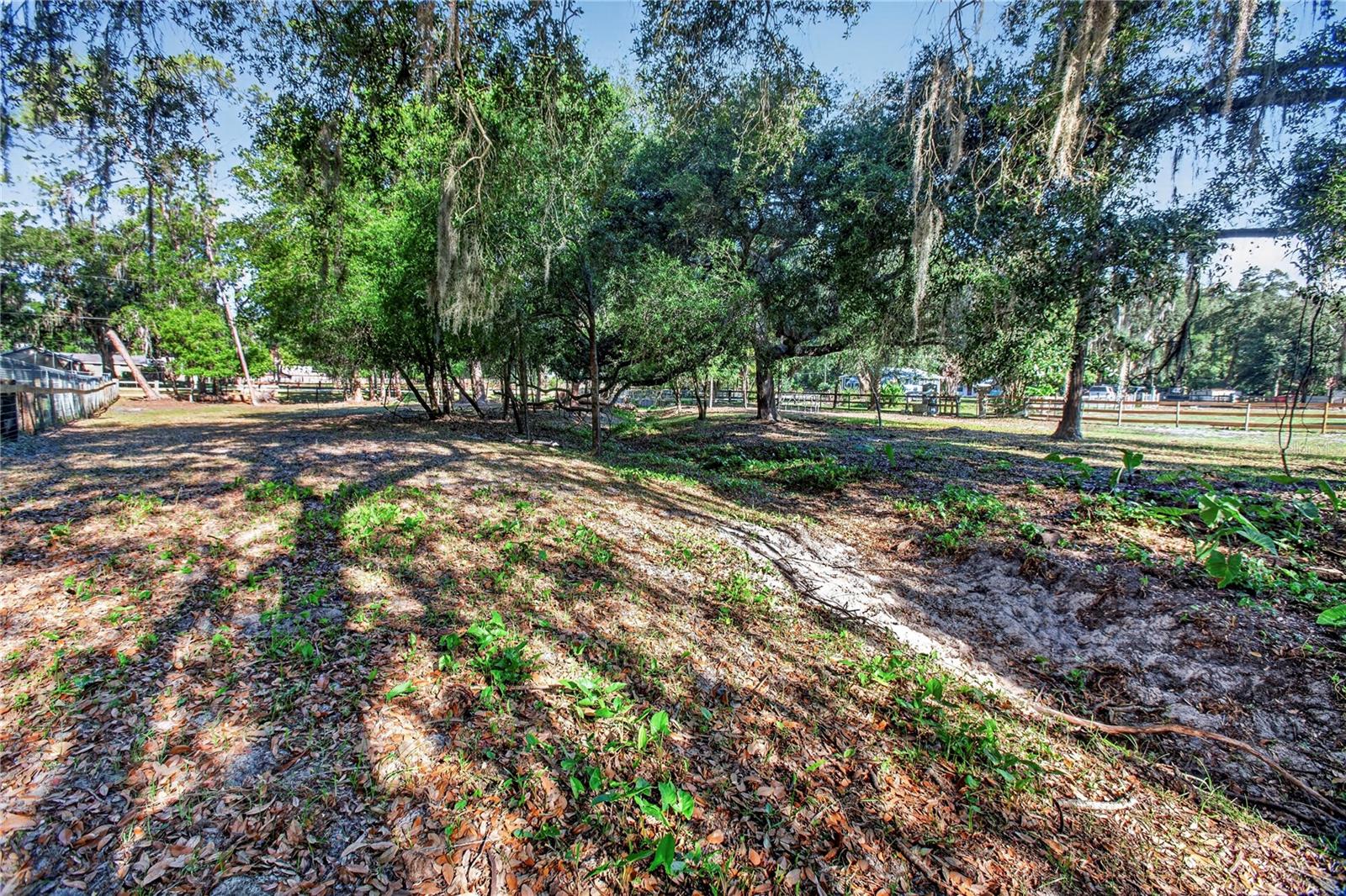 10627 Mcintosh Rd Property Photo 36