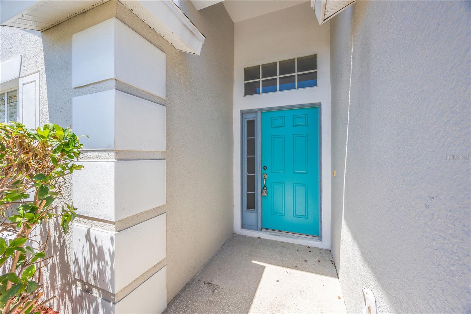 30435 Annadale Dr Property Photo 2