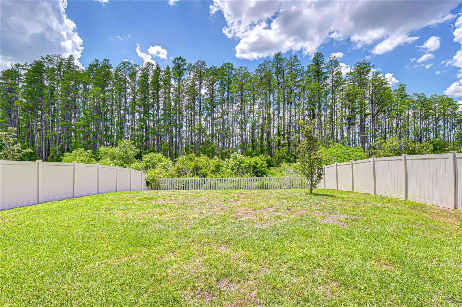 20978 Monza Loop Property Photo 43