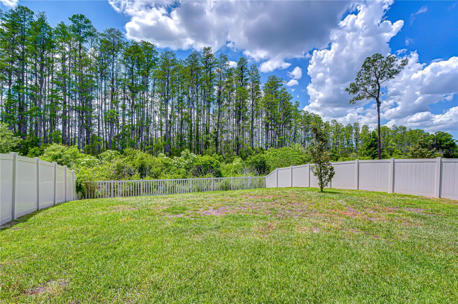 20978 Monza Loop Property Photo 44