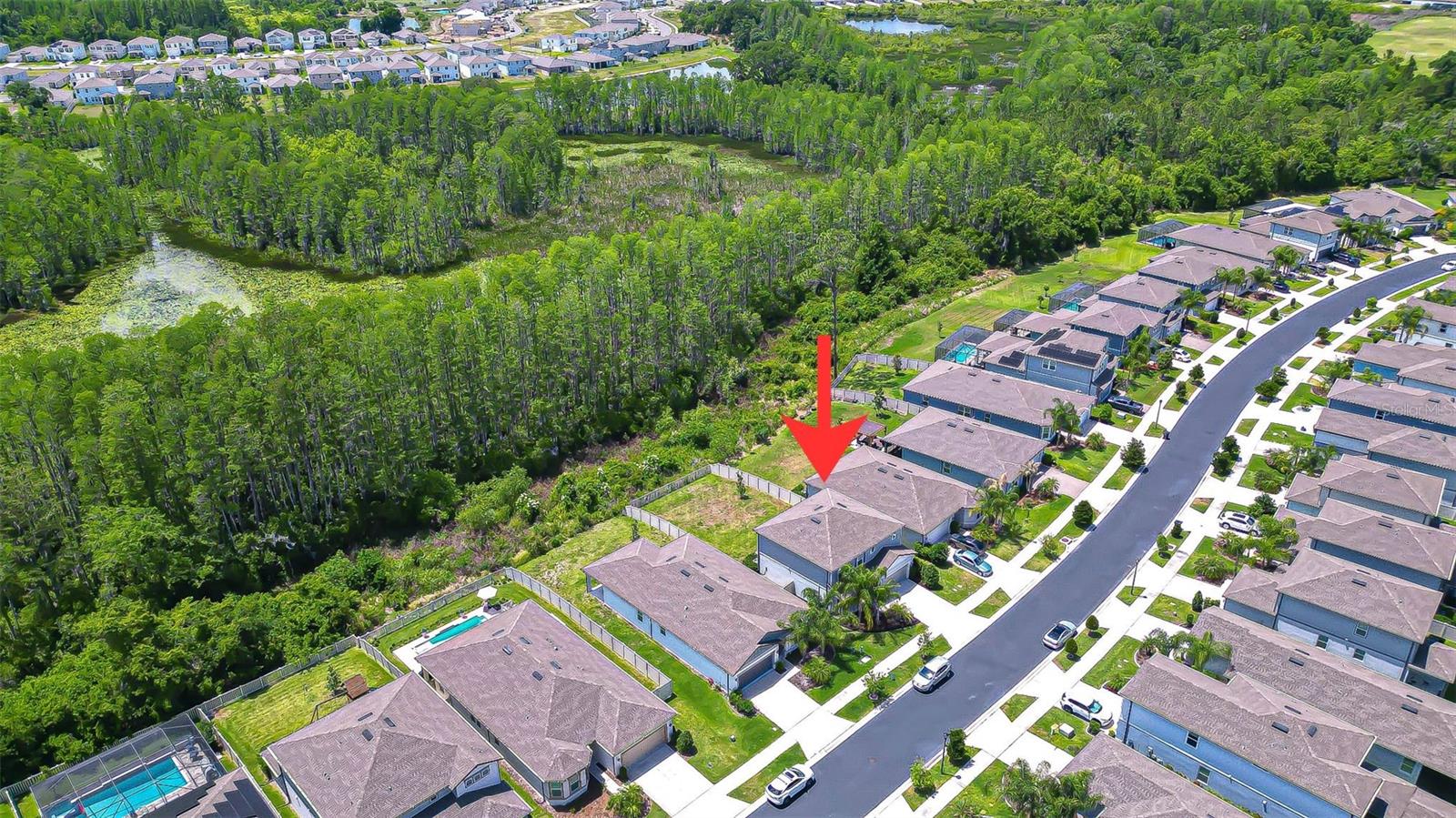 20978 Monza Loop Property Photo 51