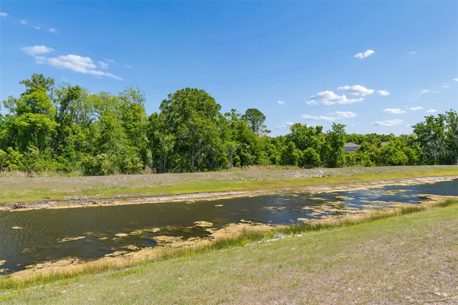 17647 Cortes Creek Blvd Property Photo 77