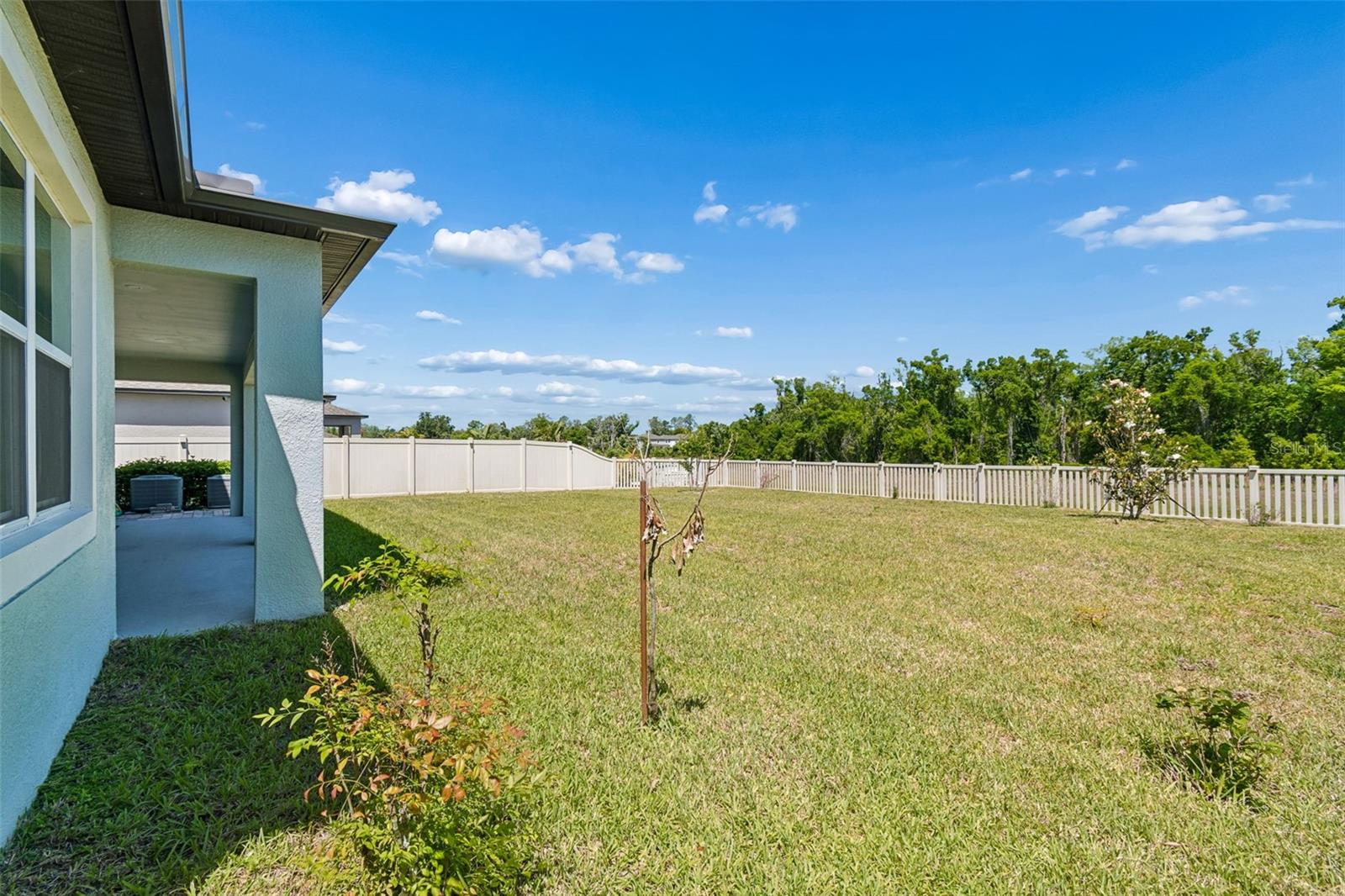 17647 Cortes Creek Blvd Property Photo 78