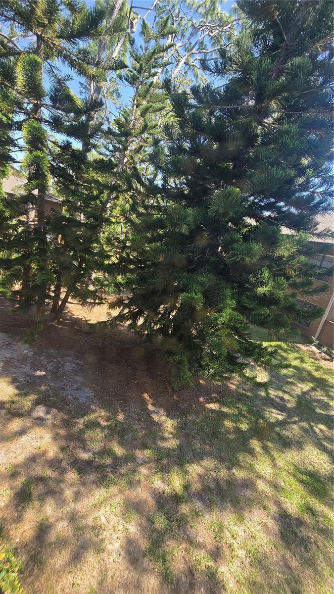 406 Lennox Rd W Property Photo 15