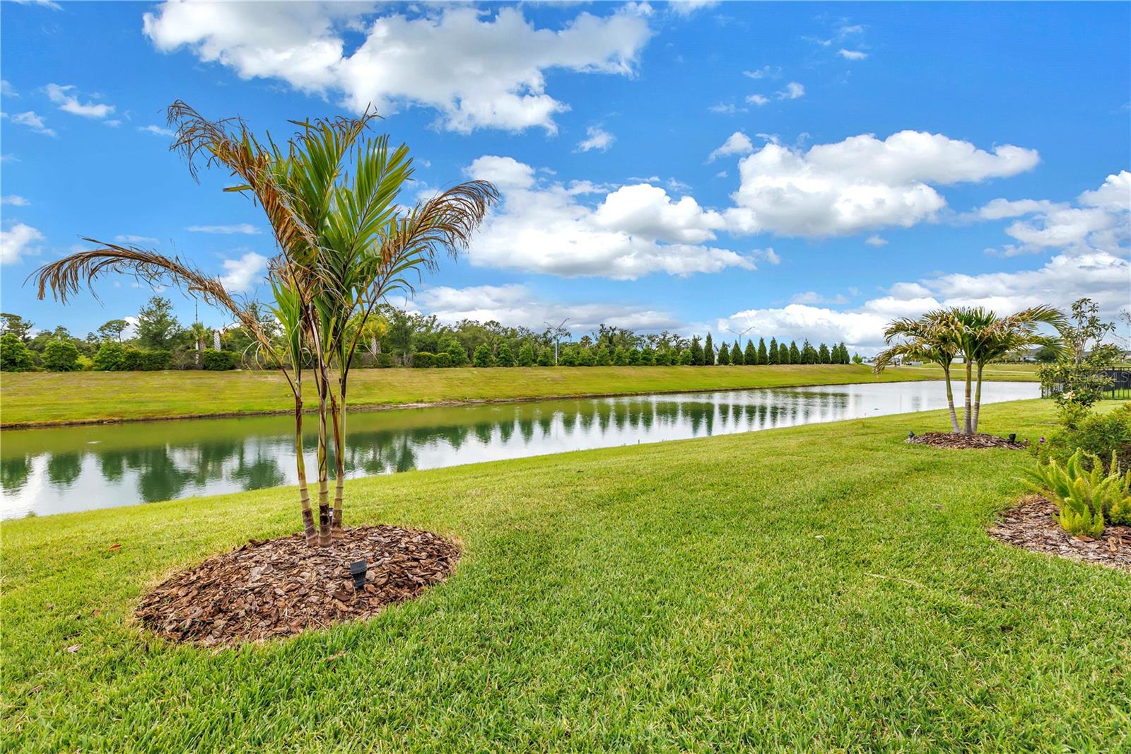 8217 Trimbelle Property Photo 48