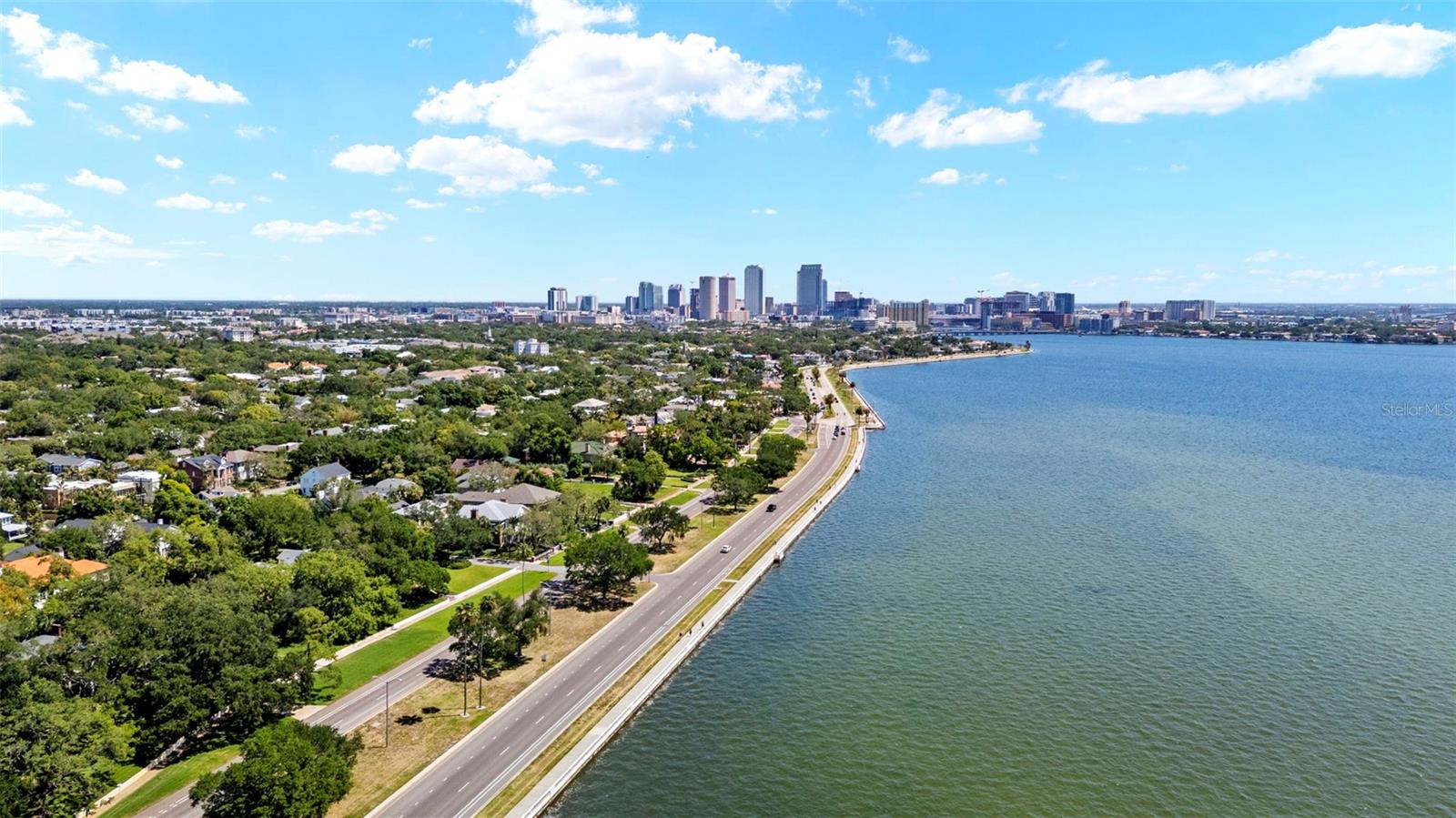 2103 Bayshore Blvd #703 Property Photo 52