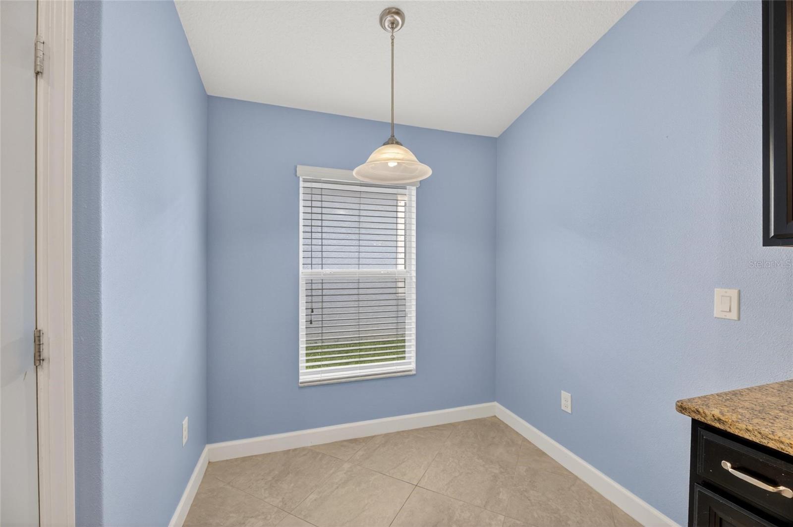 13168 Green Violet Dr Property Photo 30