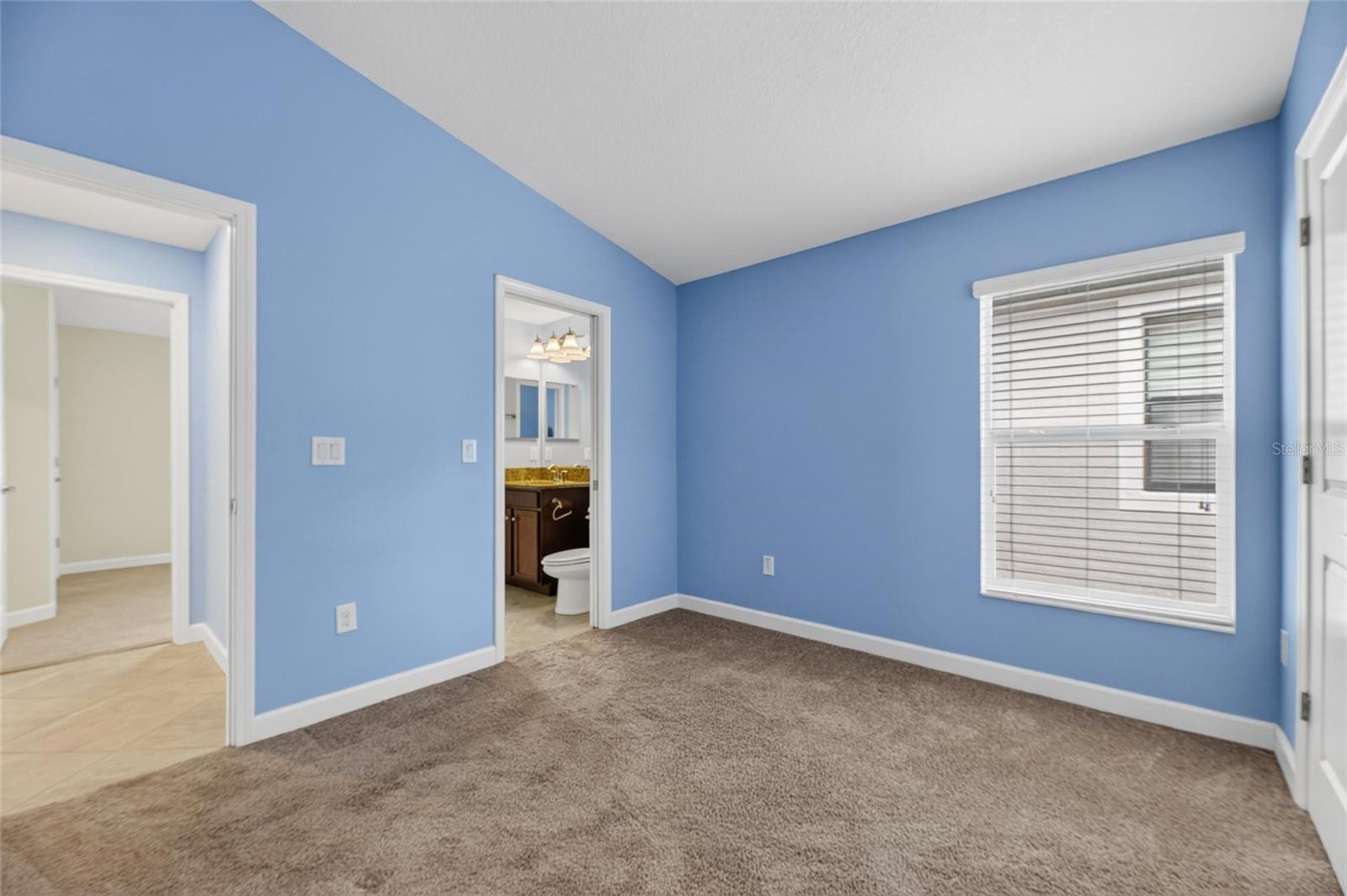 13168 Green Violet Dr Property Photo 39