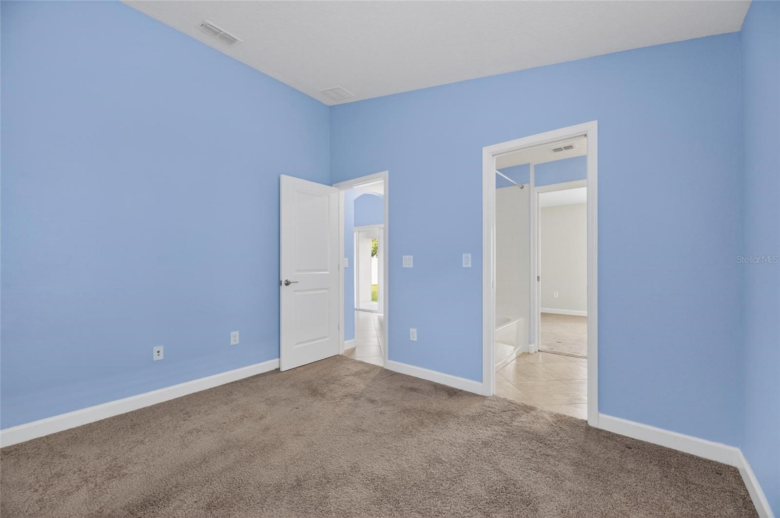 13168 Green Violet Dr Property Photo 41