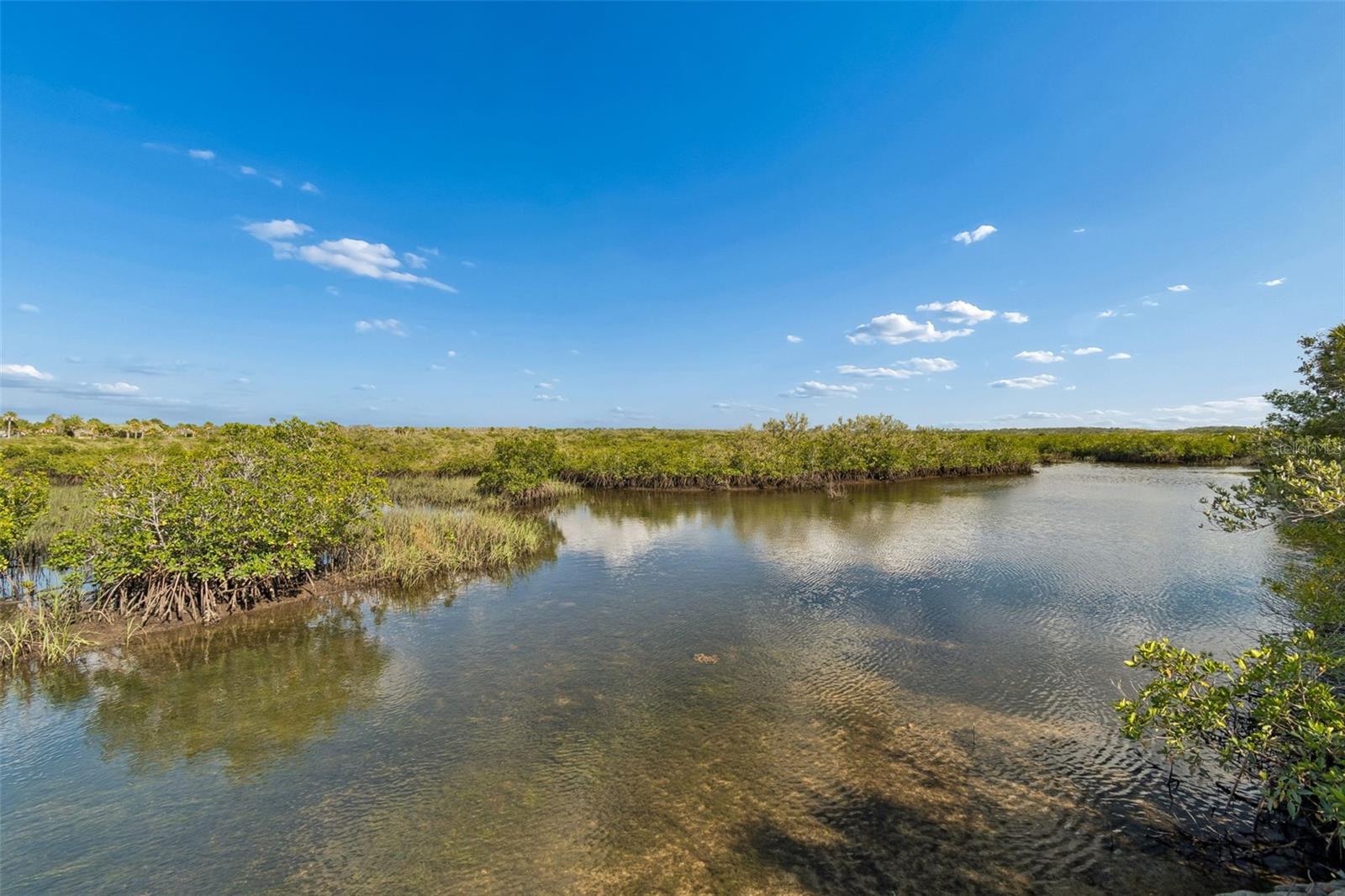 10501 Pine Island Dr Property Photo 45
