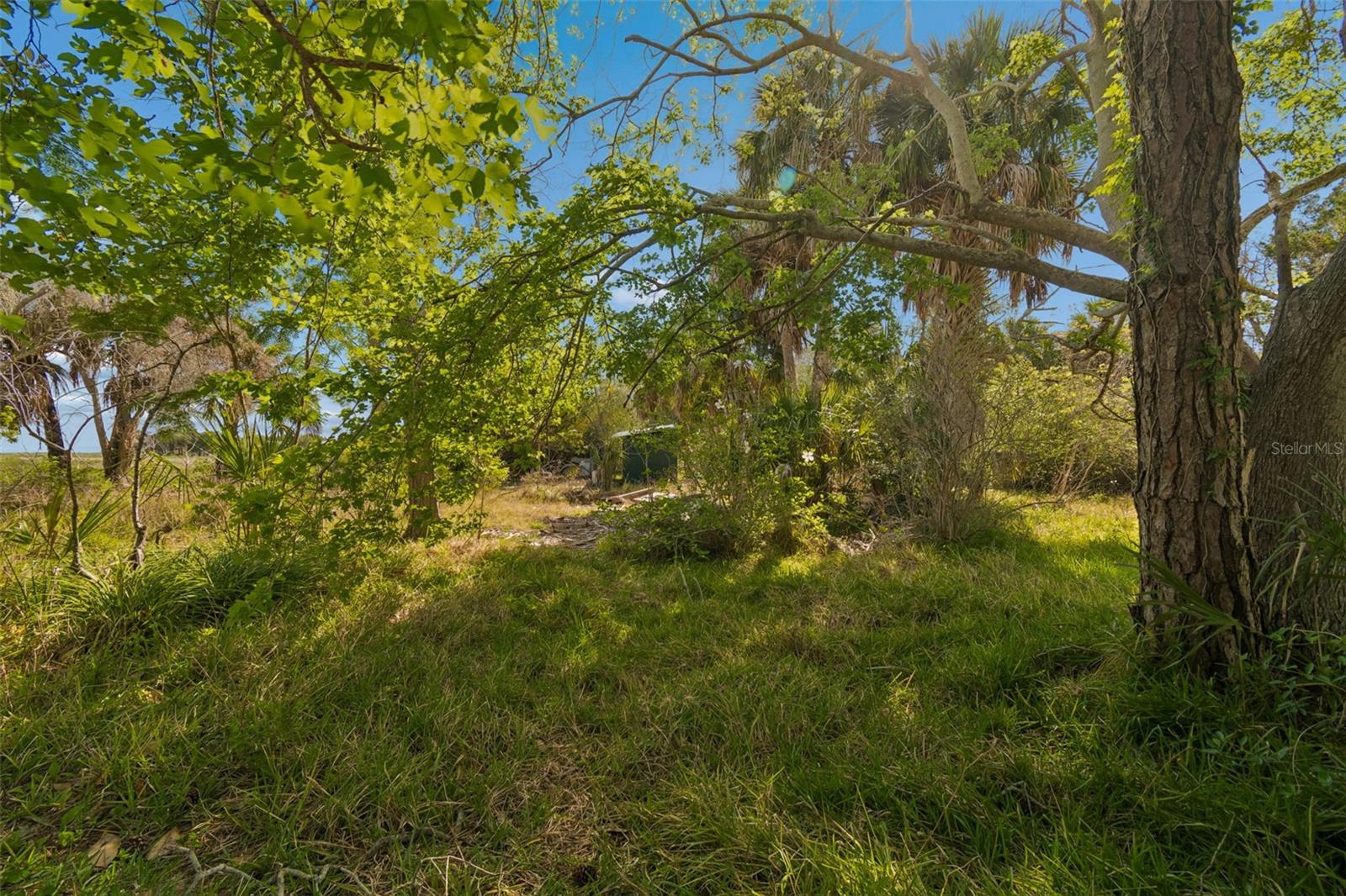 10501 Pine Island Dr Property Photo 52