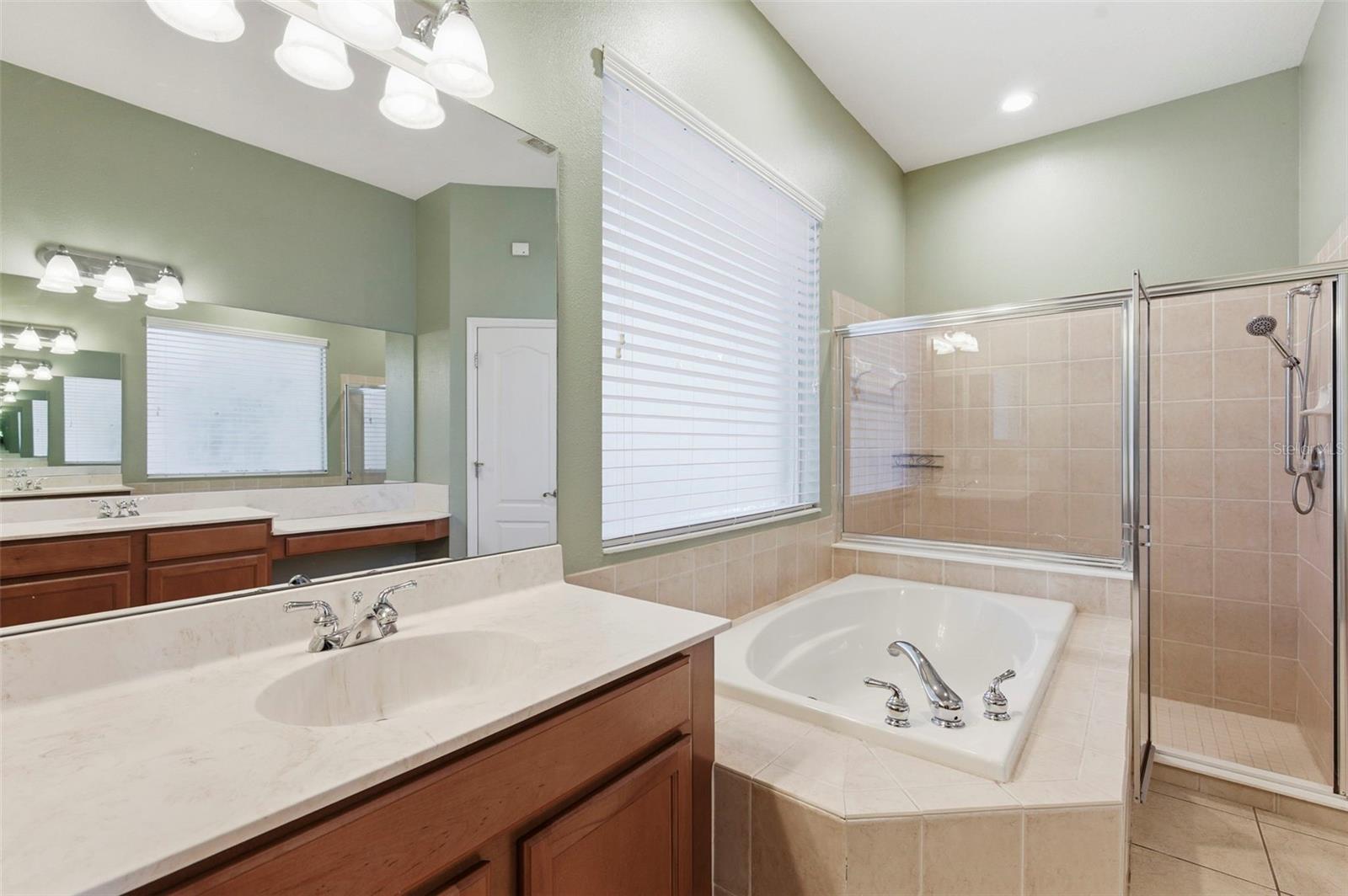 20629 Wild Plum Ct Property Photo 30