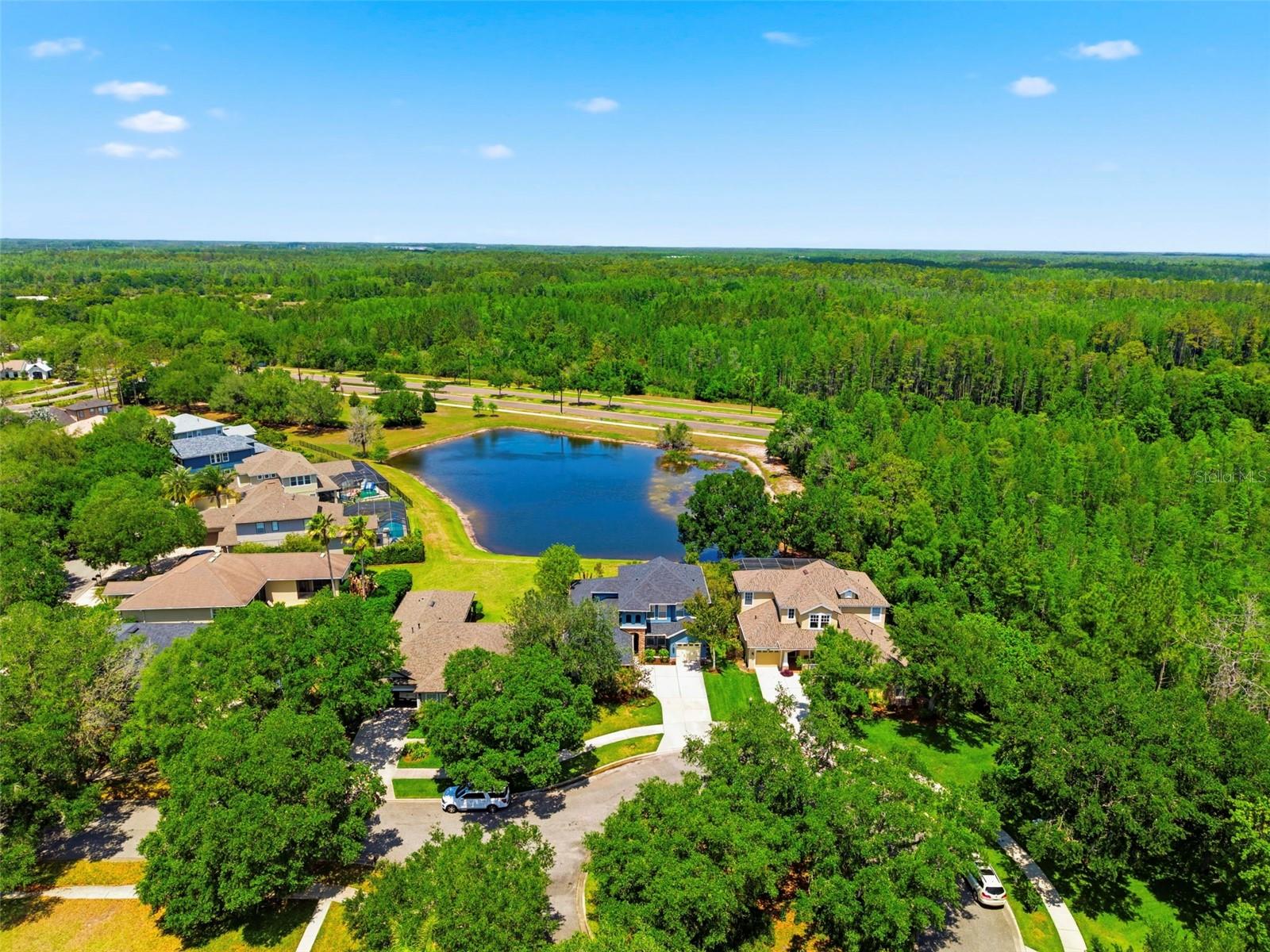20629 Wild Plum Ct Property Photo 77