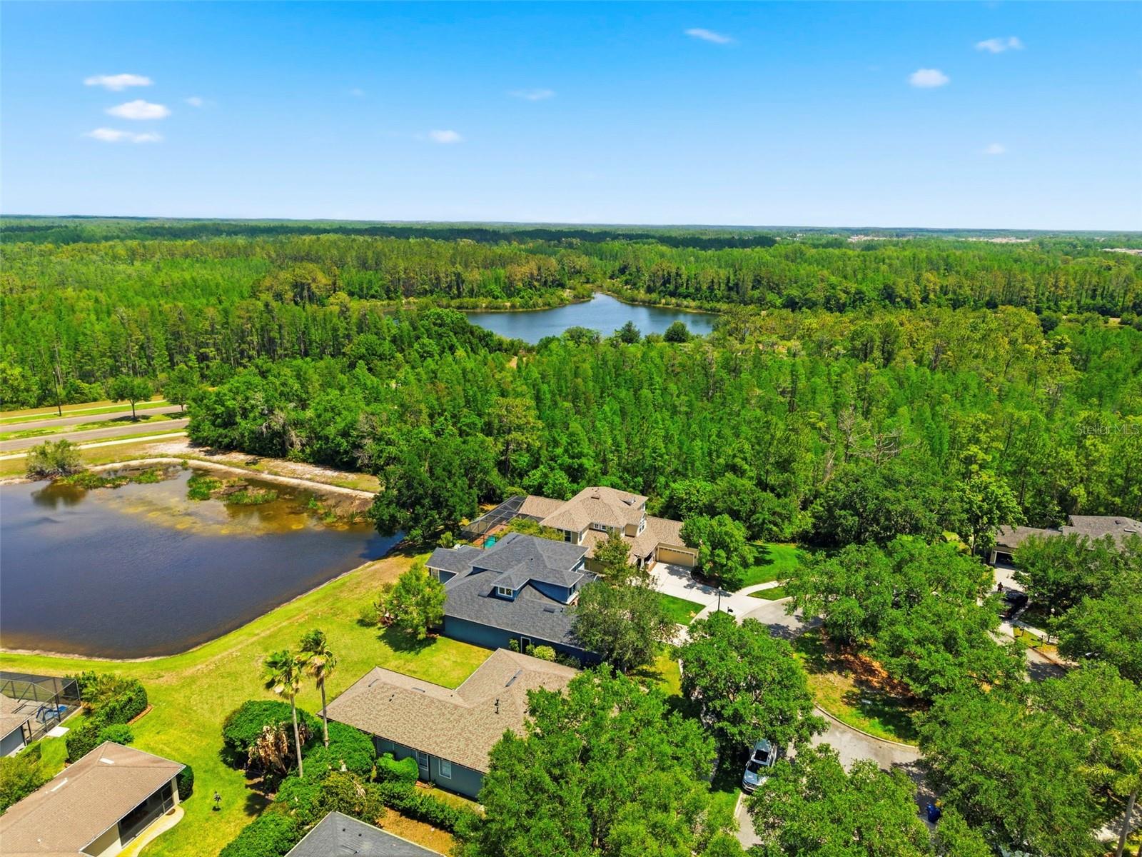 20629 Wild Plum Ct Property Photo 78