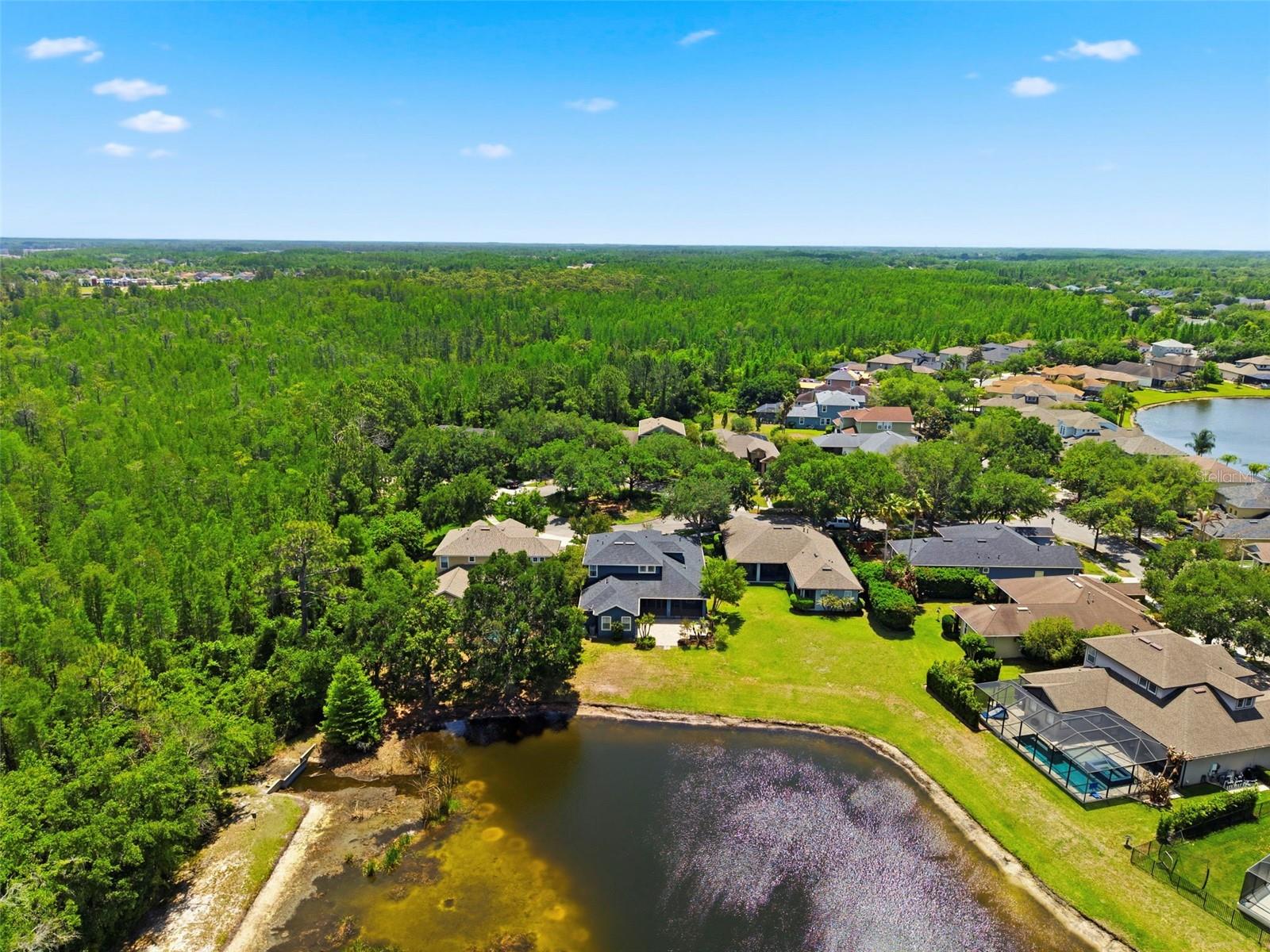 20629 Wild Plum Ct Property Photo 79