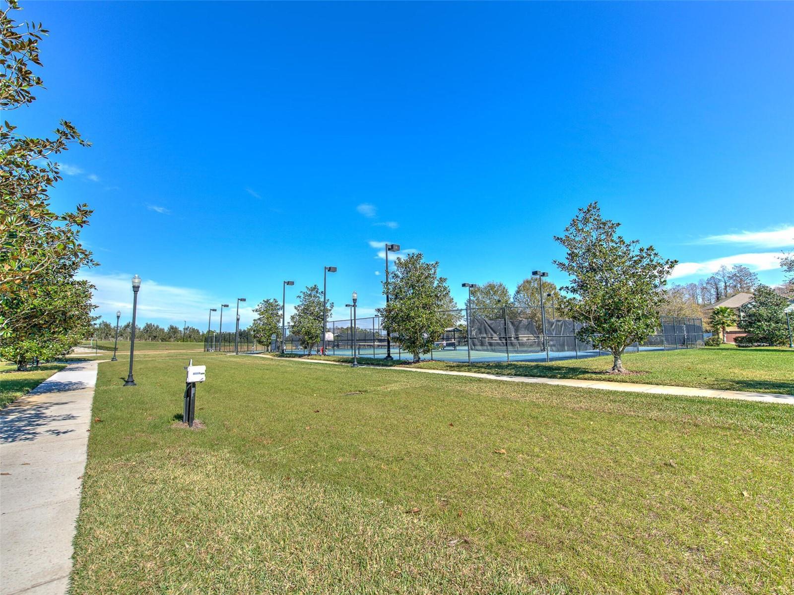 20629 Wild Plum Ct Property Photo 88