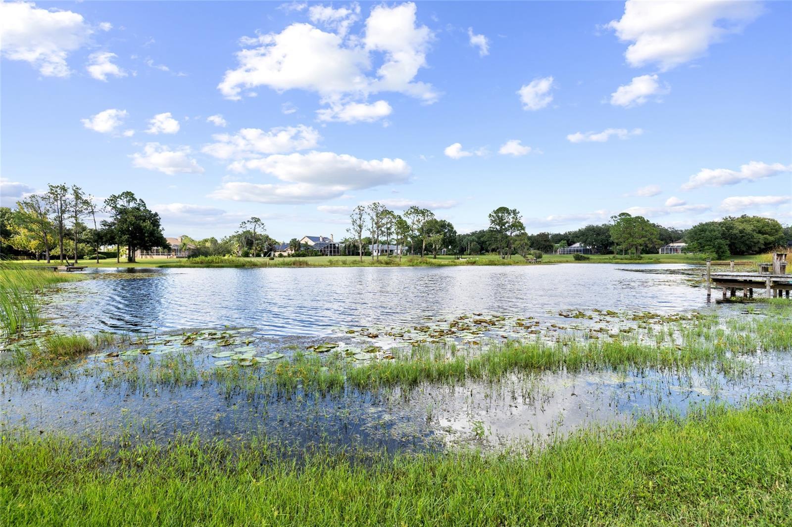 17825 Simms Rd Property Photo 8