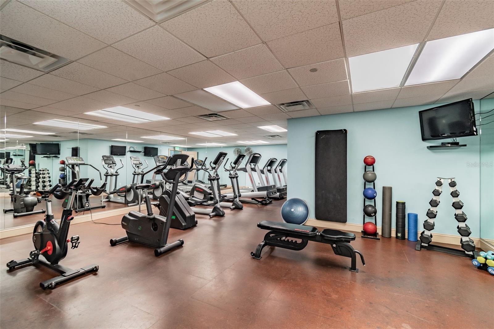 345 Bayshore Blvd #1510 Property Photo 31