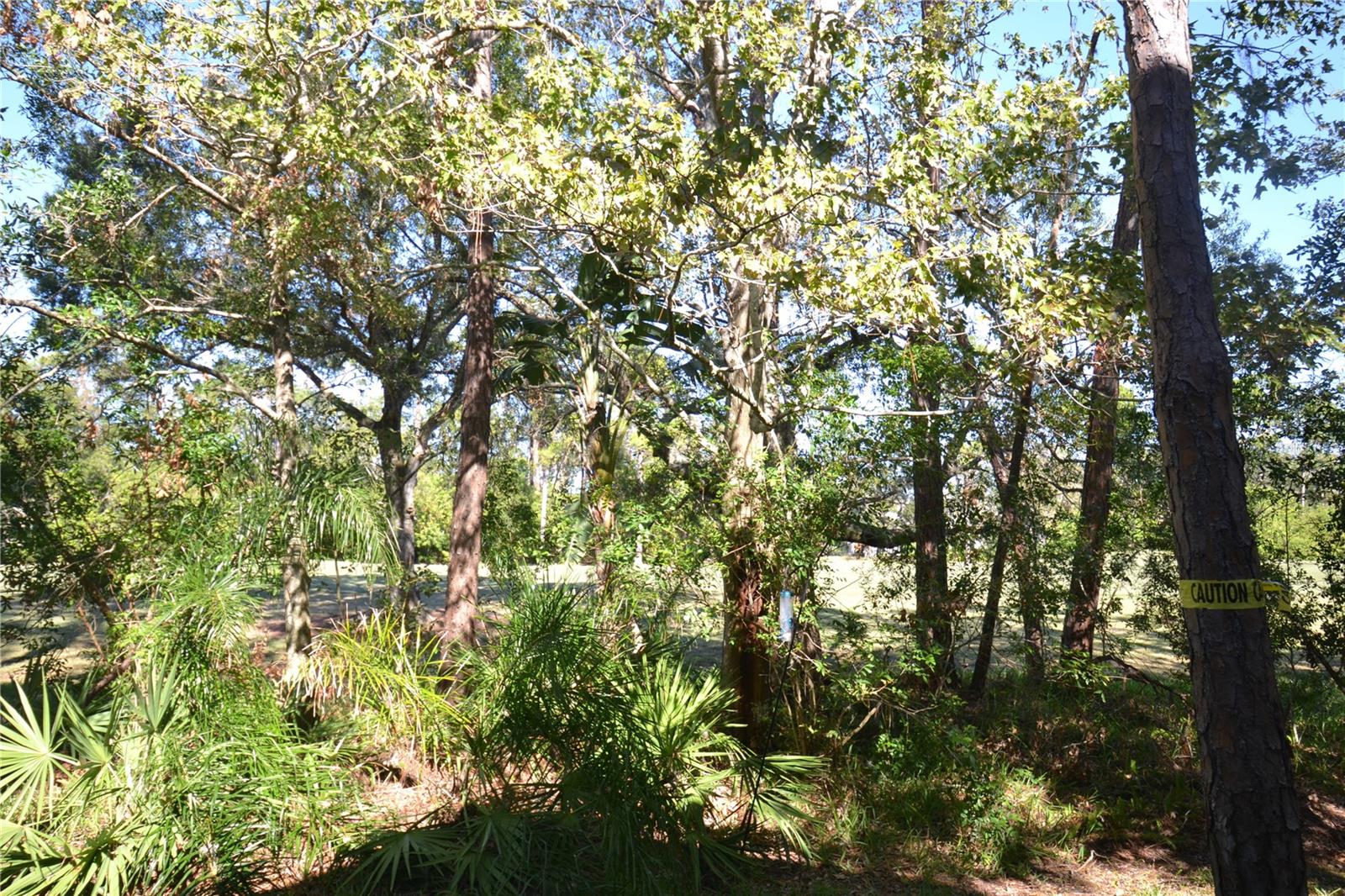112 Lindsay Ln Property Photo 63