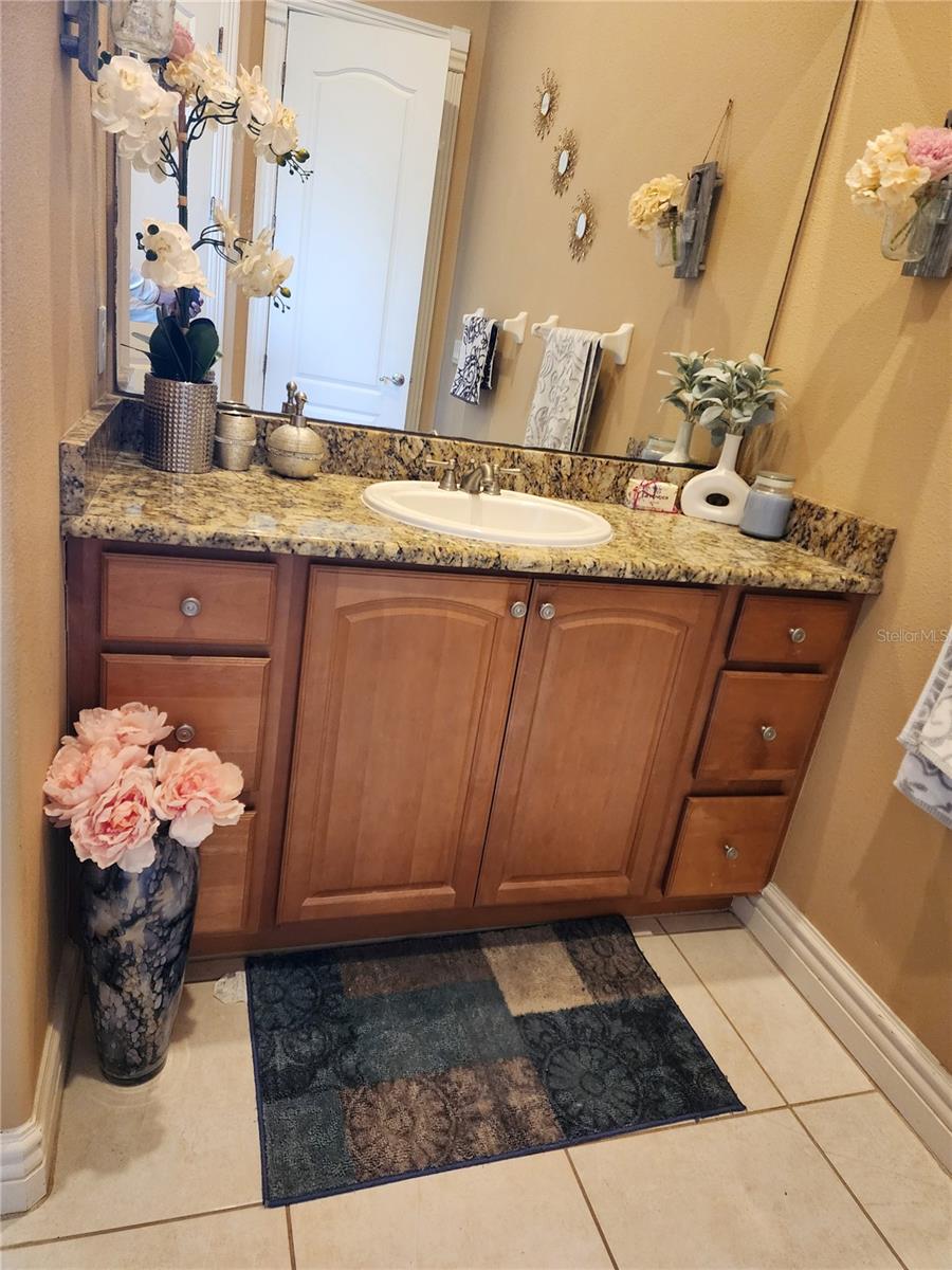 2656 Wyndsor Oaks Way Property Photo 26