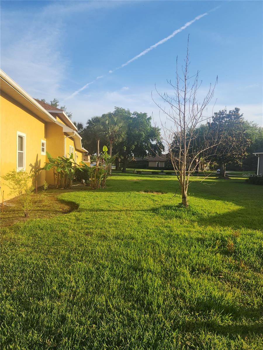 2656 Wyndsor Oaks Way Property Photo 32