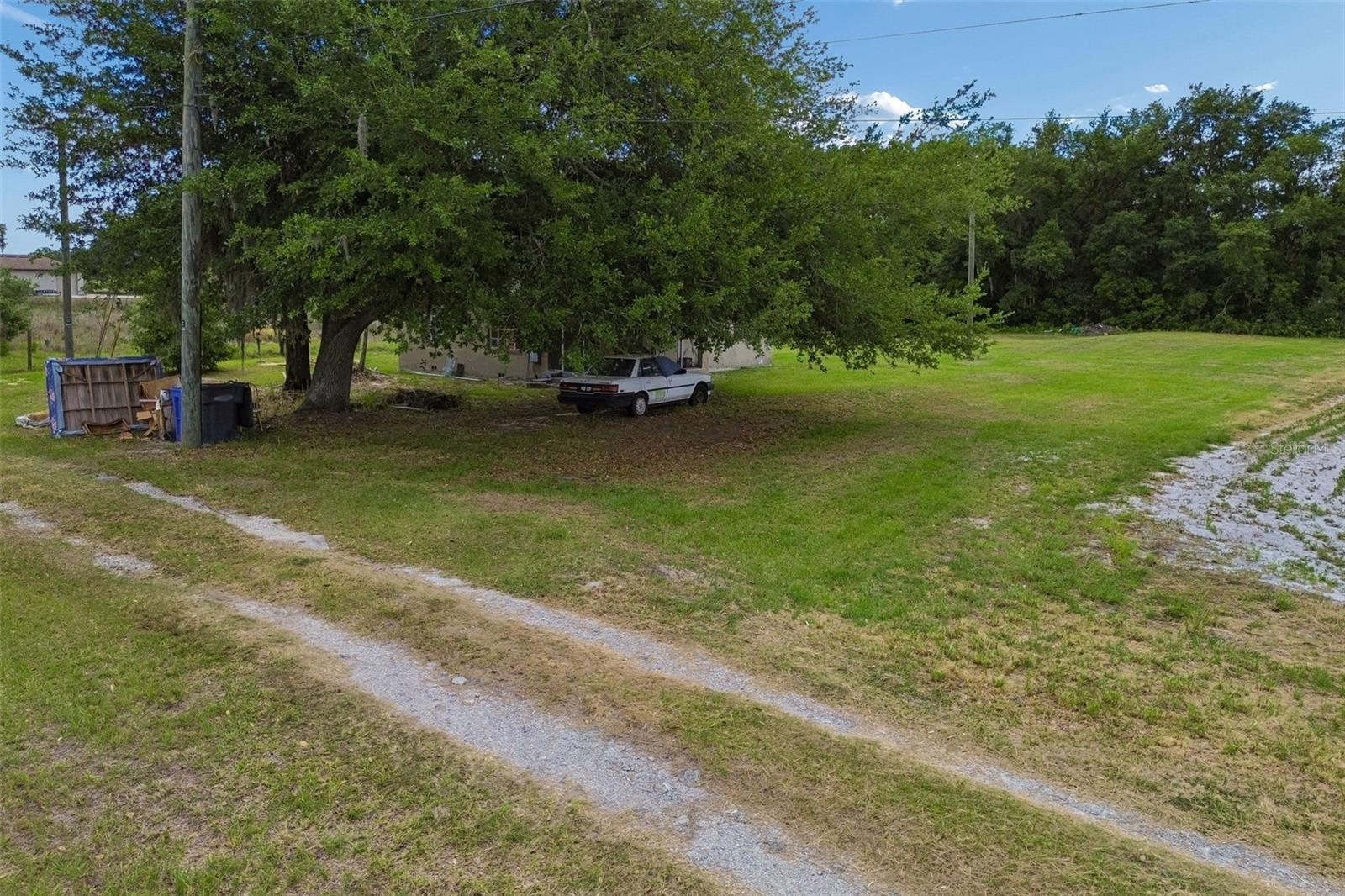 2413 Ed Brown Ln Property Photo 23