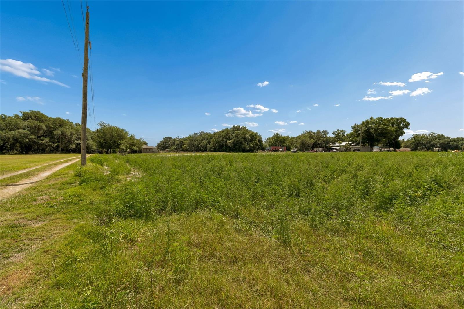 2413 Ed Brown Ln Property Photo 25