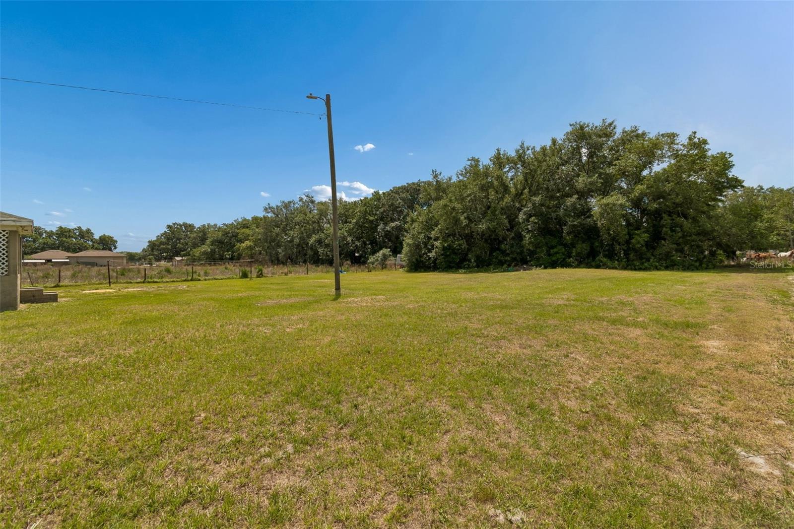2413 Ed Brown Ln Property Photo 35