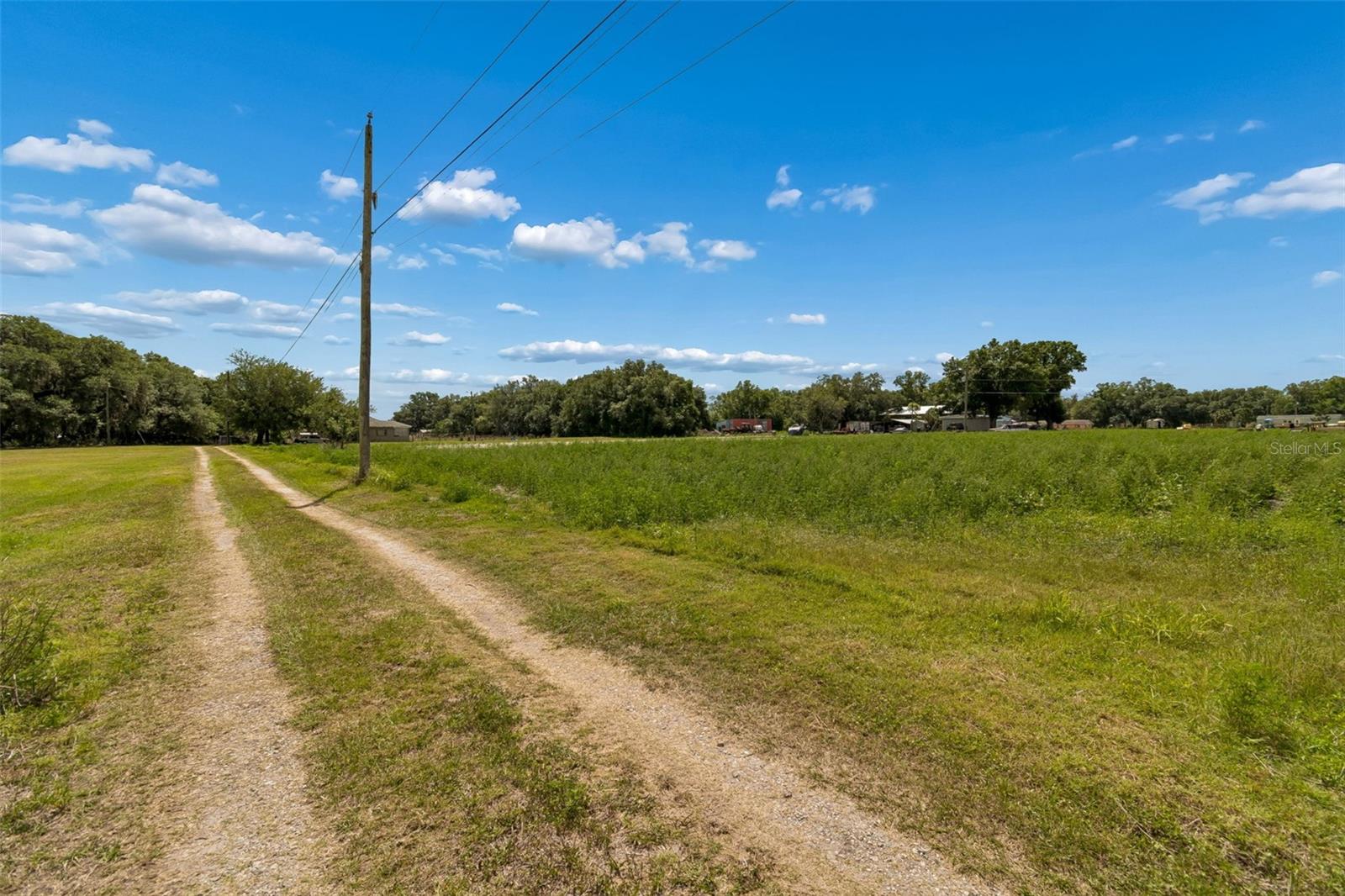 2413 Ed Brown Ln Property Photo 37
