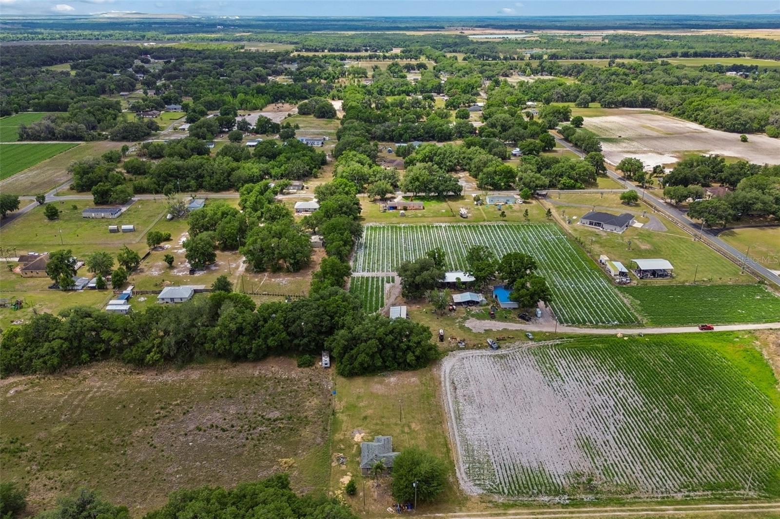 2413 Ed Brown Ln Property Photo 46