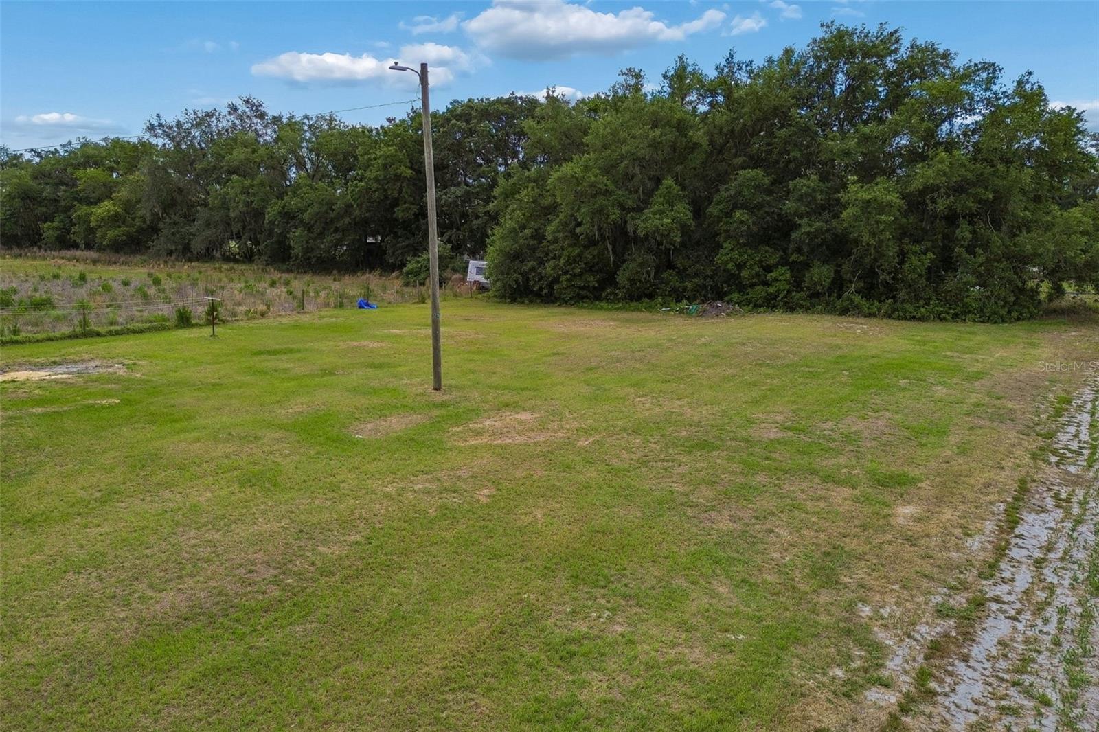 2413 Ed Brown Ln Property Photo 51