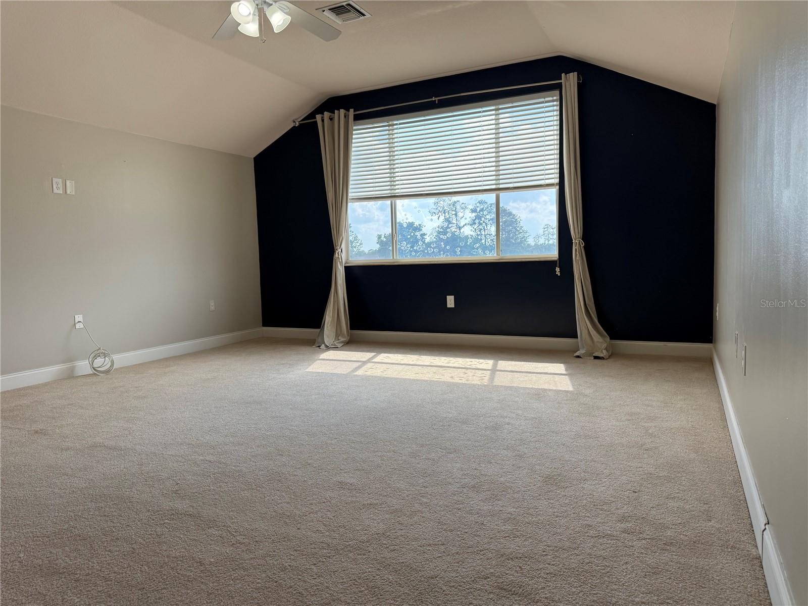 5909 Wedgefield Dr Property Photo 27
