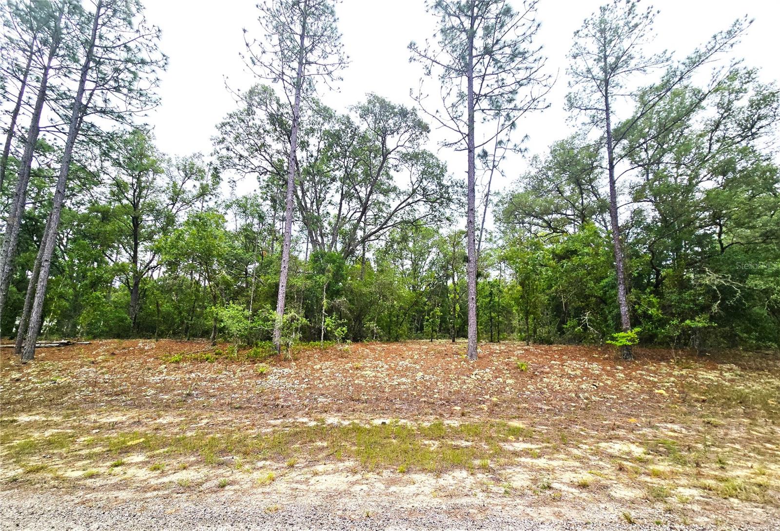 576 E NEMO DR Property Photo 1
