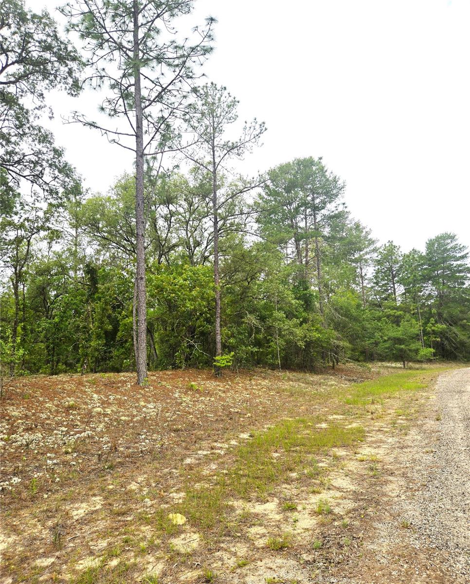 576 E Nemo Dr Property Photo 3