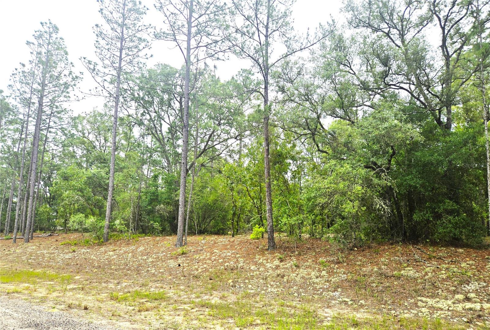 576 E Nemo Dr Property Photo 6