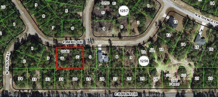 576 E Nemo Dr Property Photo 7