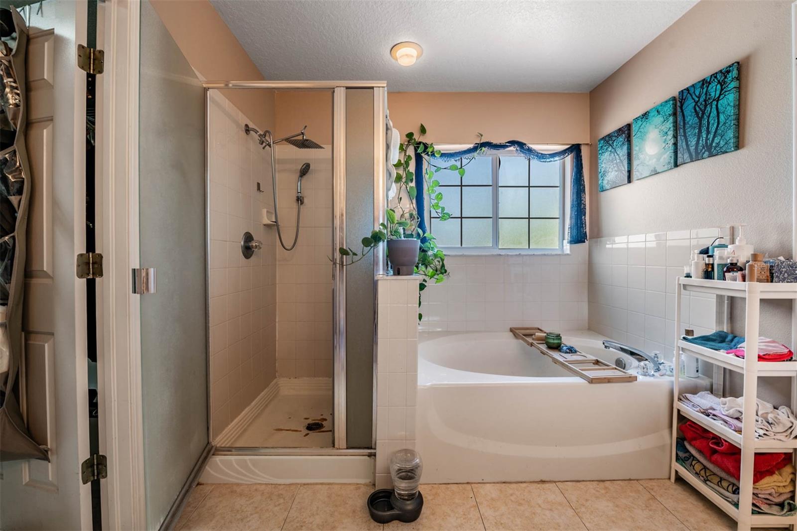 10945 Subtle Trail Dr Property Photo 33