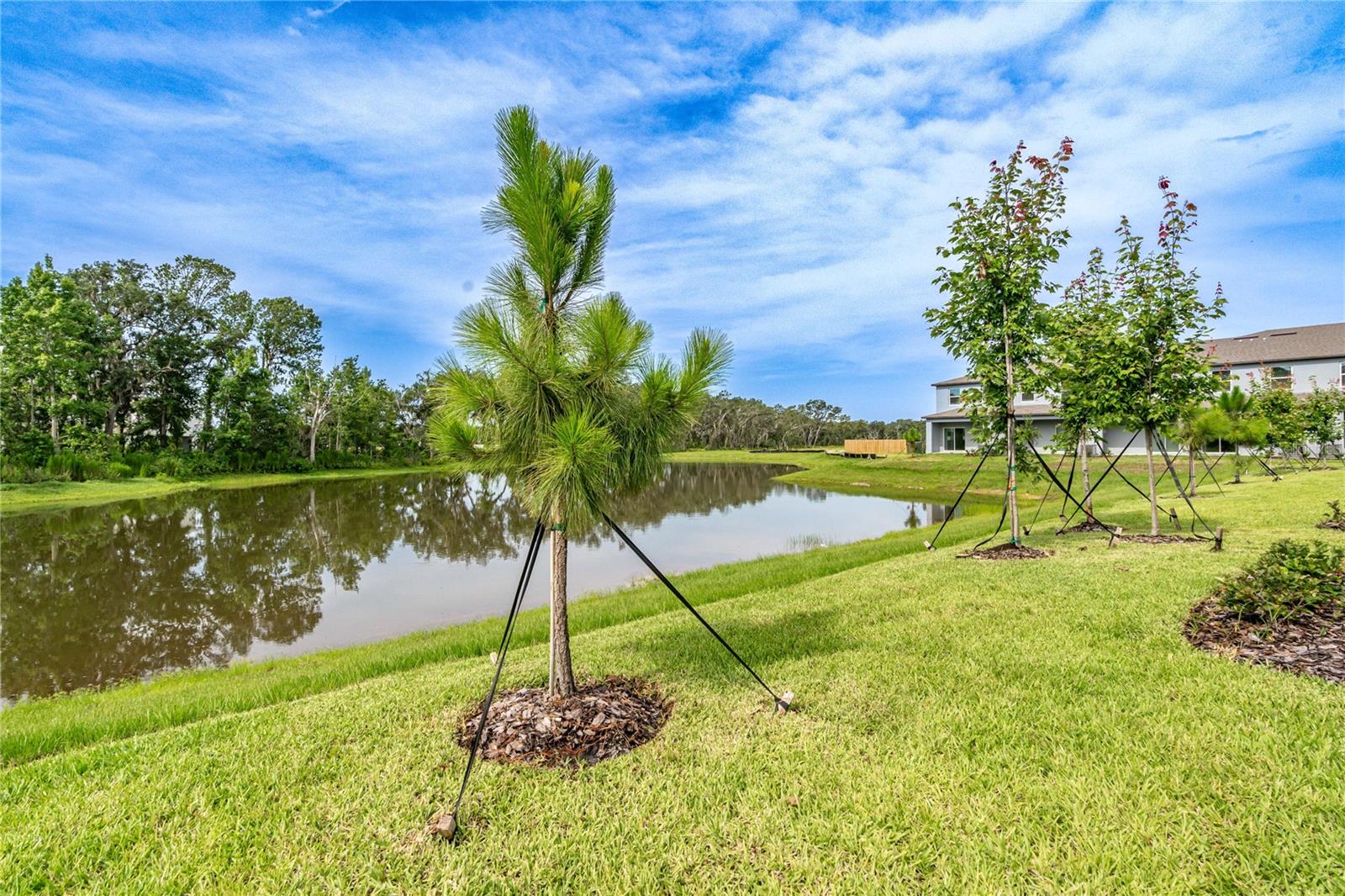 5095 Capri Harbor Dr Property Photo 21