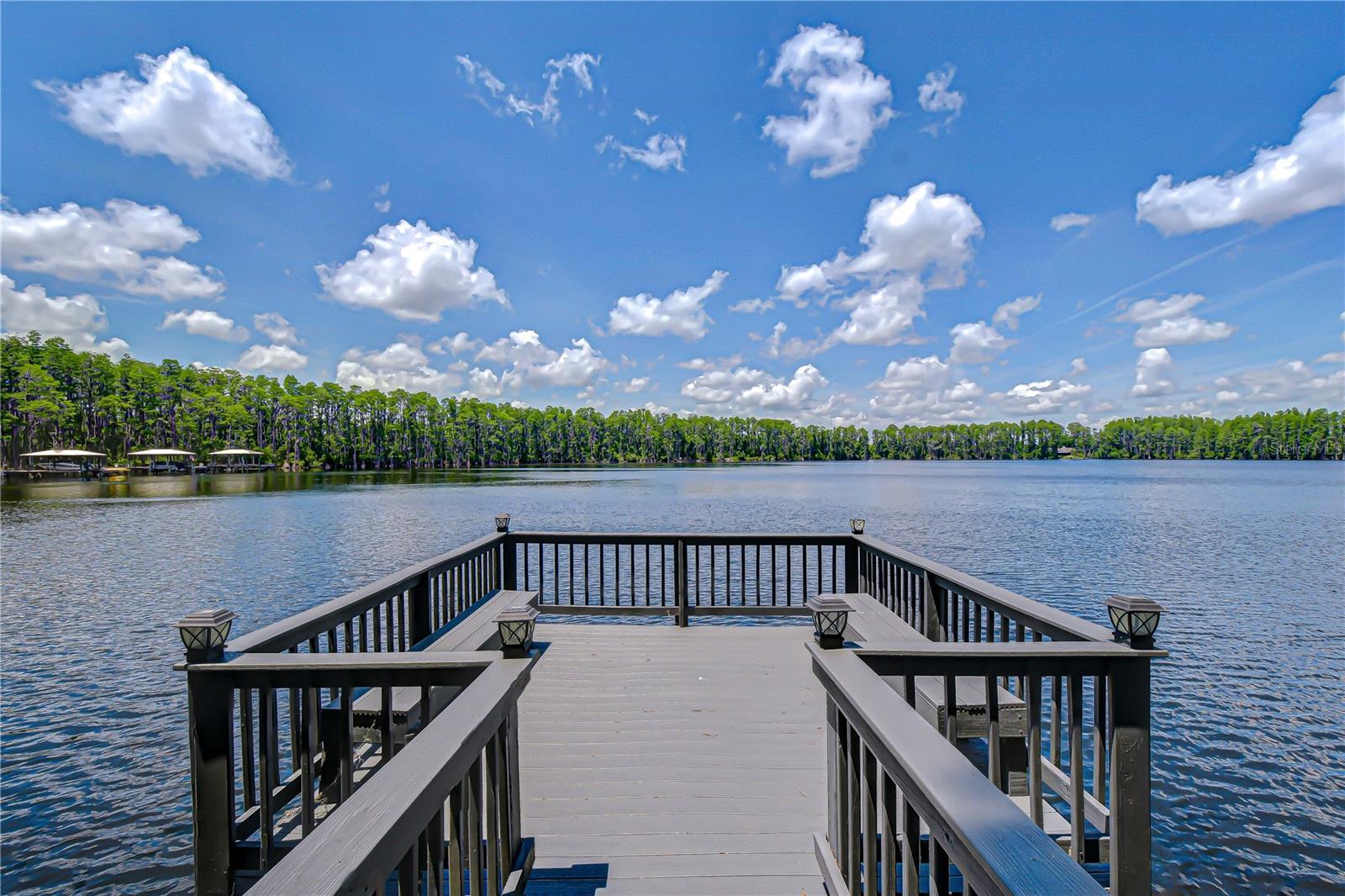 20915 Lake Vienna Dr Property Photo 3