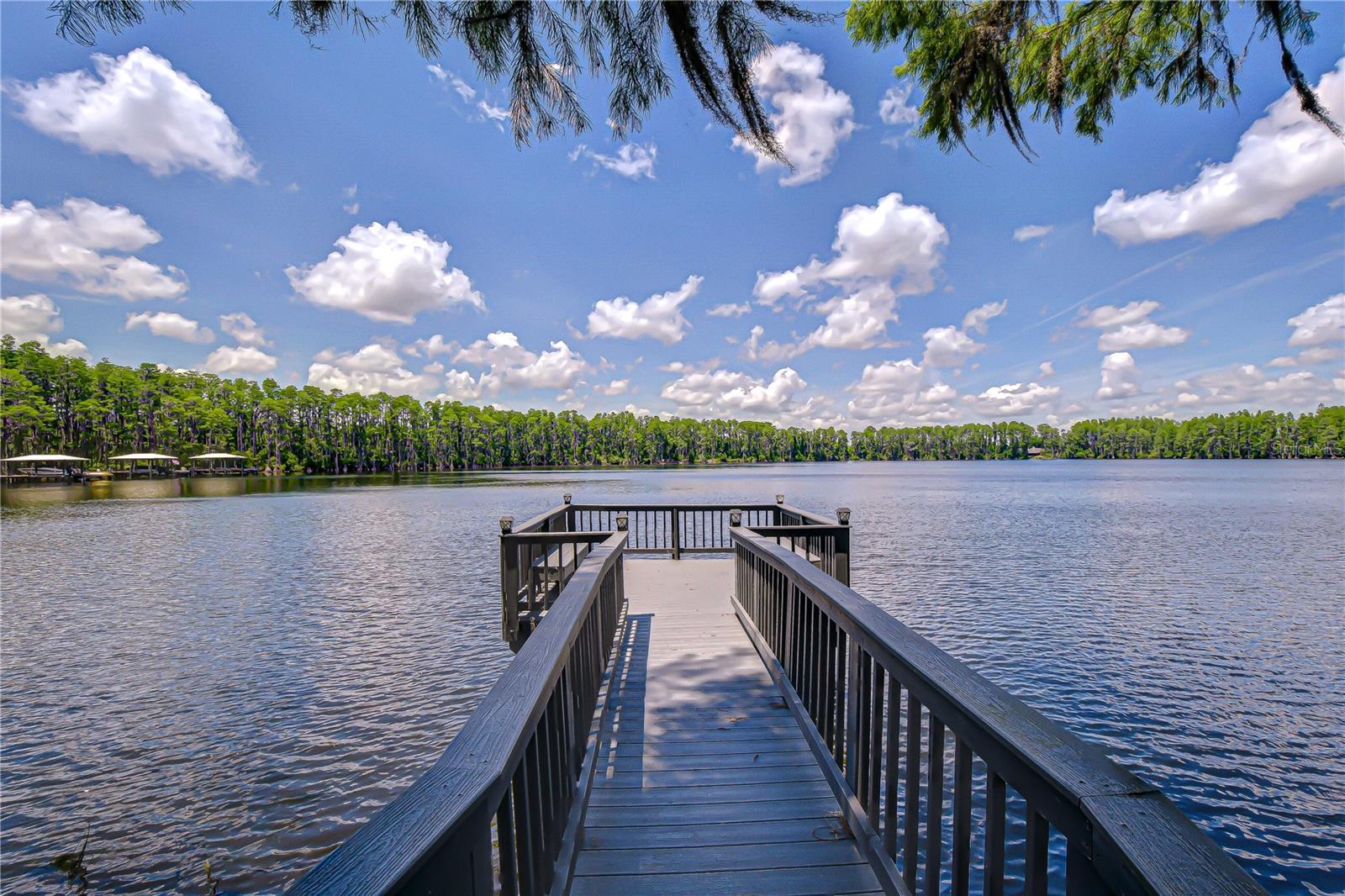 20915 Lake Vienna Dr Property Photo 41