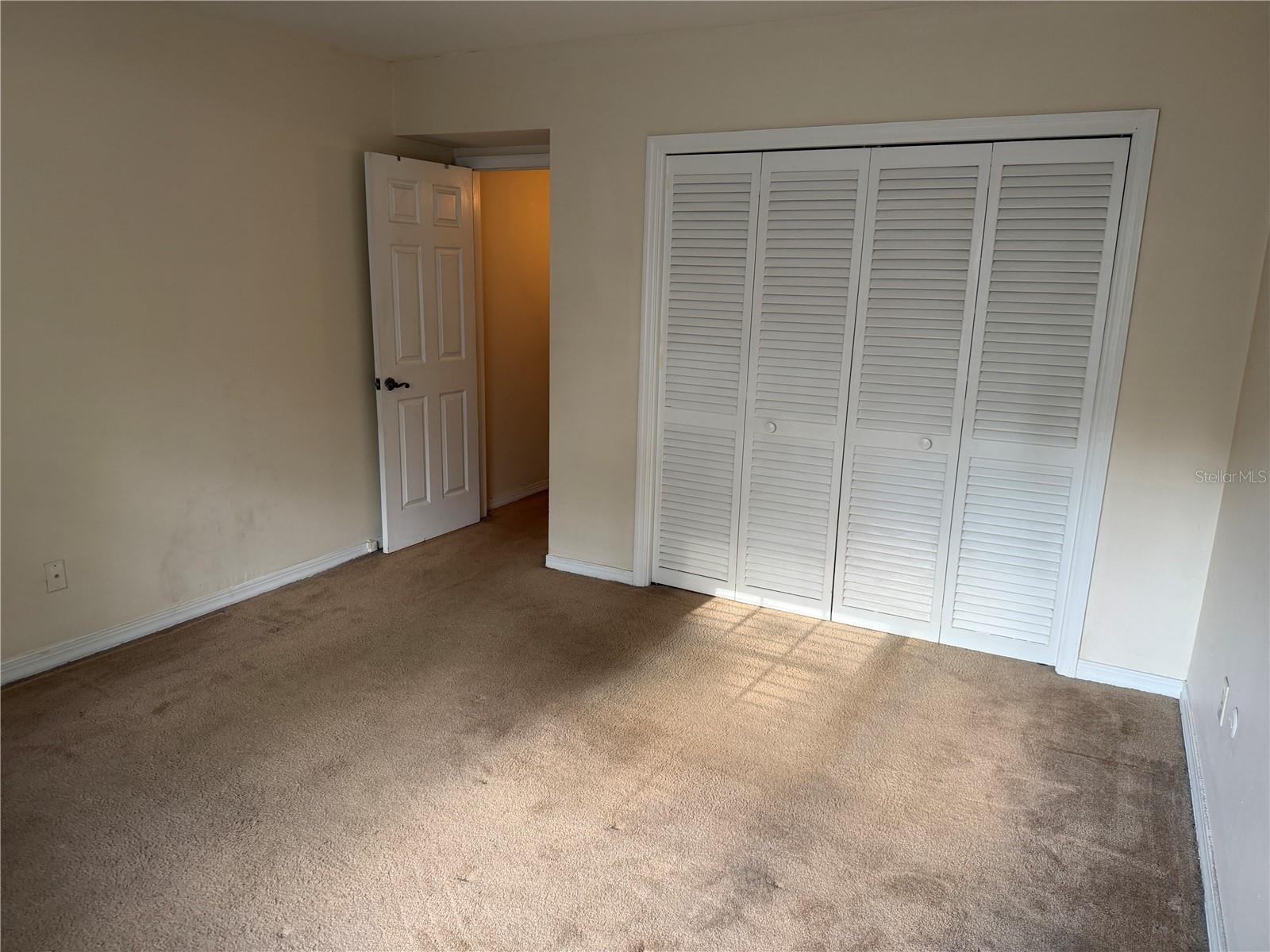 10335 Carrollwood Ln #116 Property Photo 12
