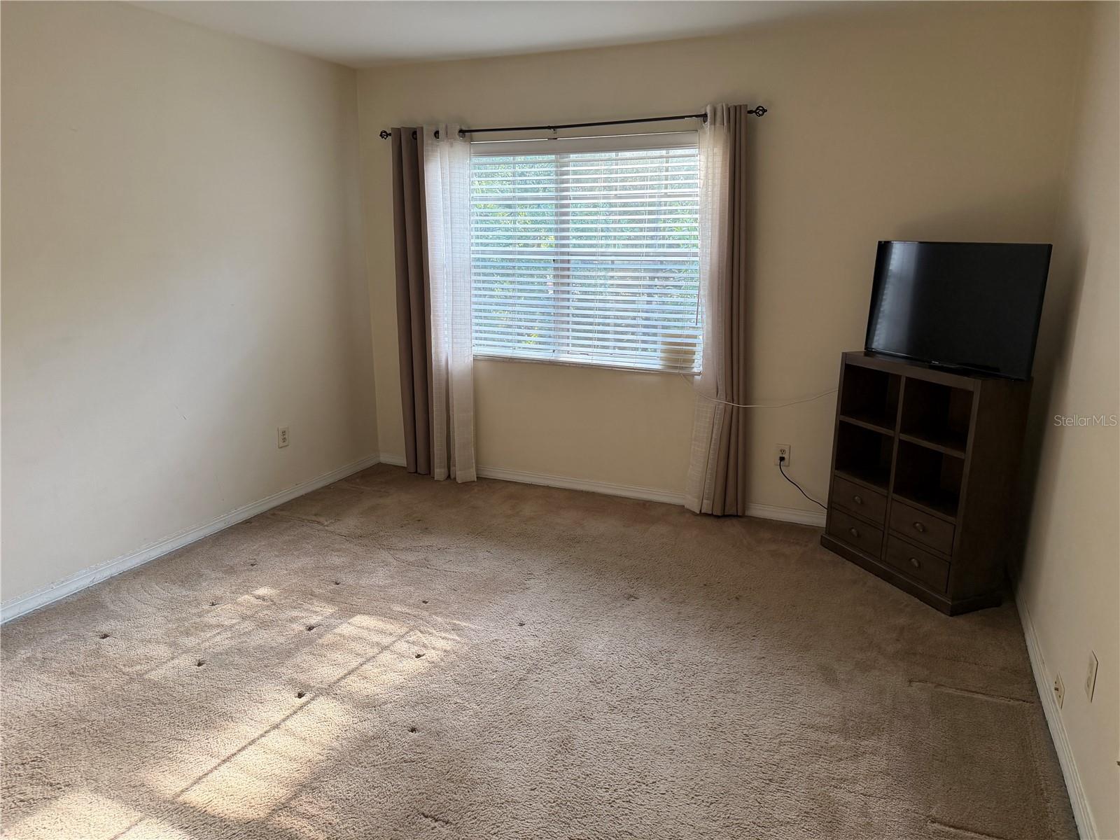 10335 Carrollwood Ln #116 Property Photo 13