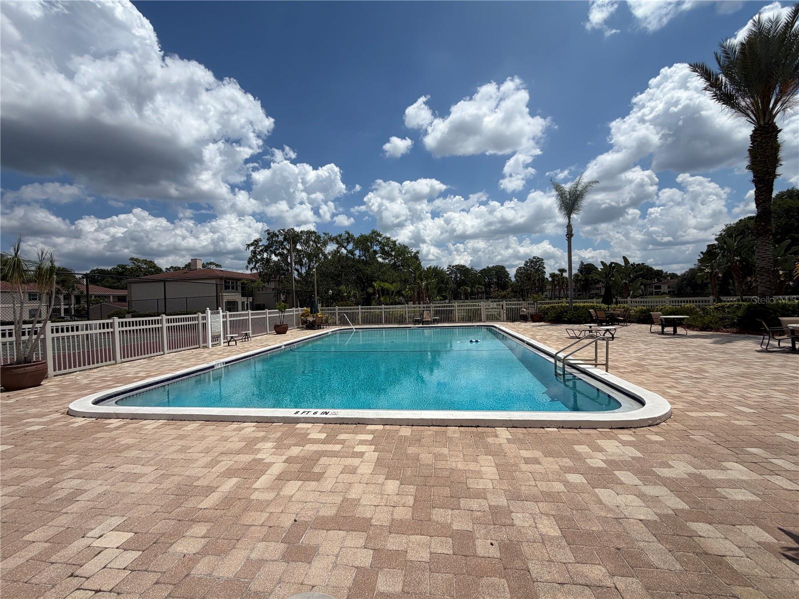 10335 Carrollwood Ln #116 Property Photo 17