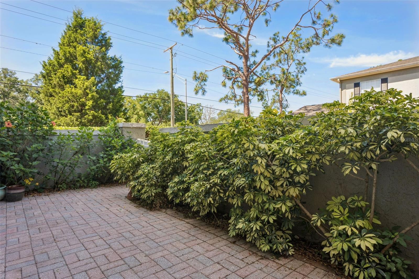 6341 Treetop Cir #6341 Property Photo 19
