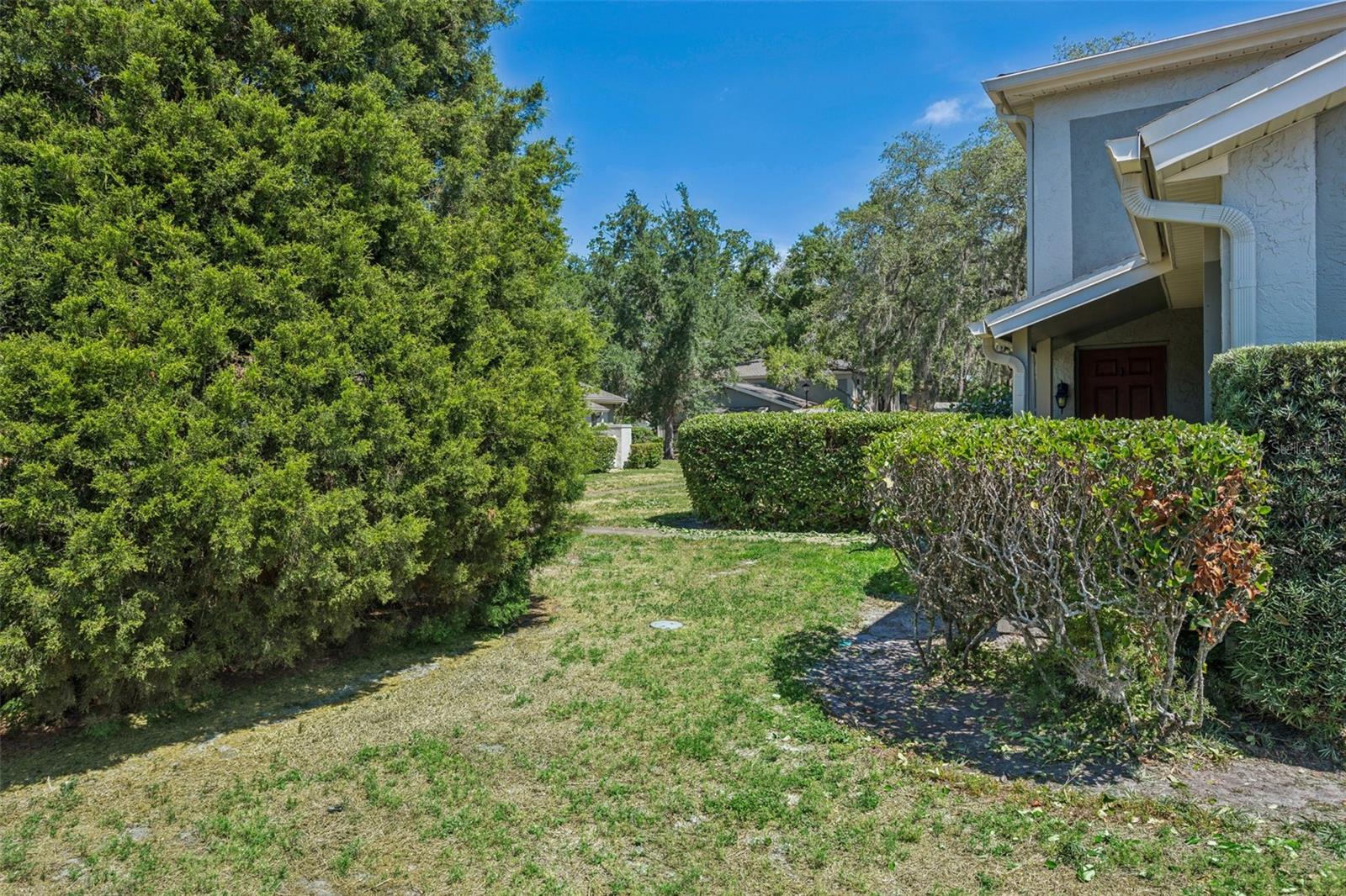 6341 Treetop Cir #6341 Property Photo 21