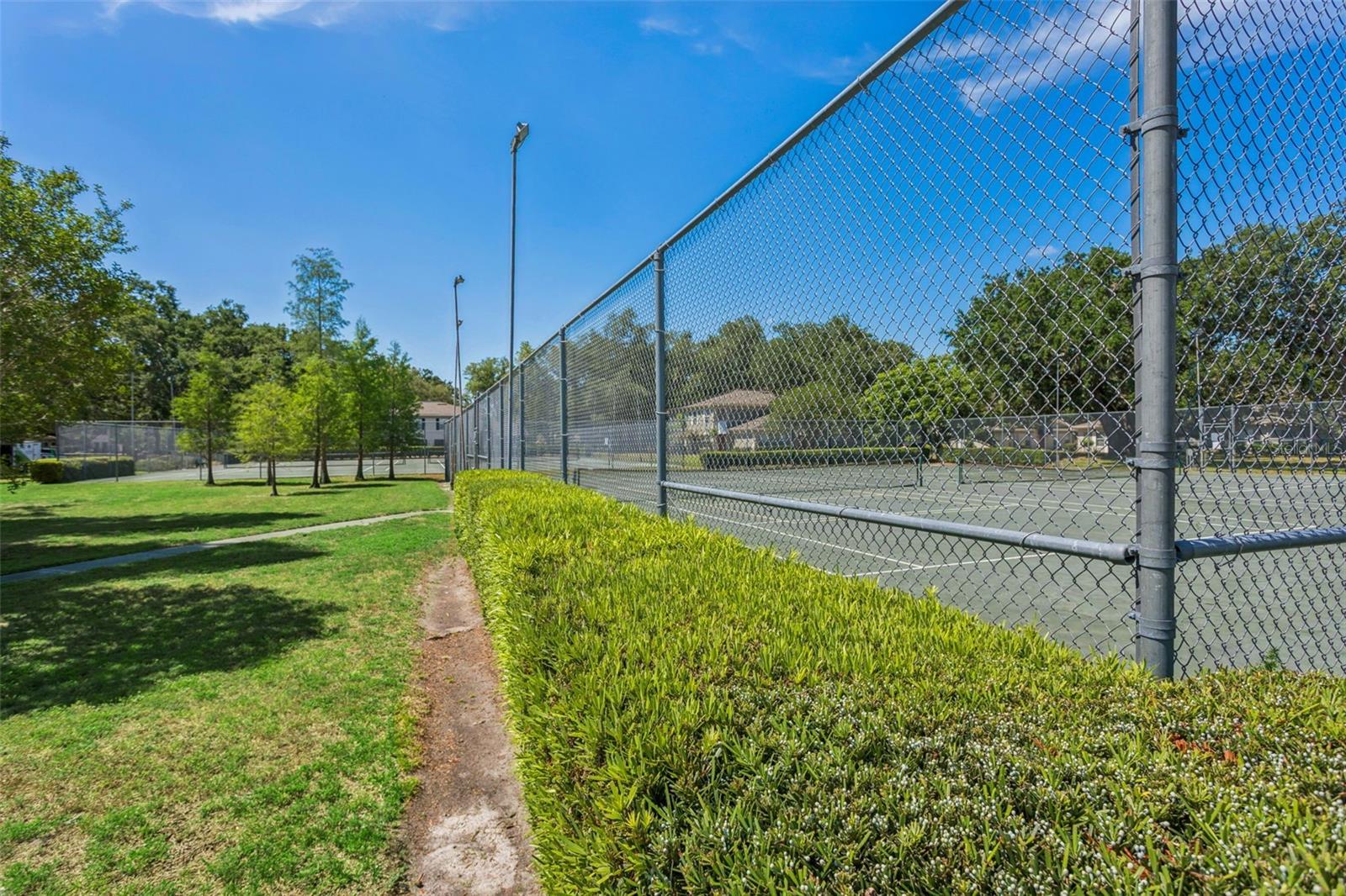 6341 Treetop Cir #6341 Property Photo 24
