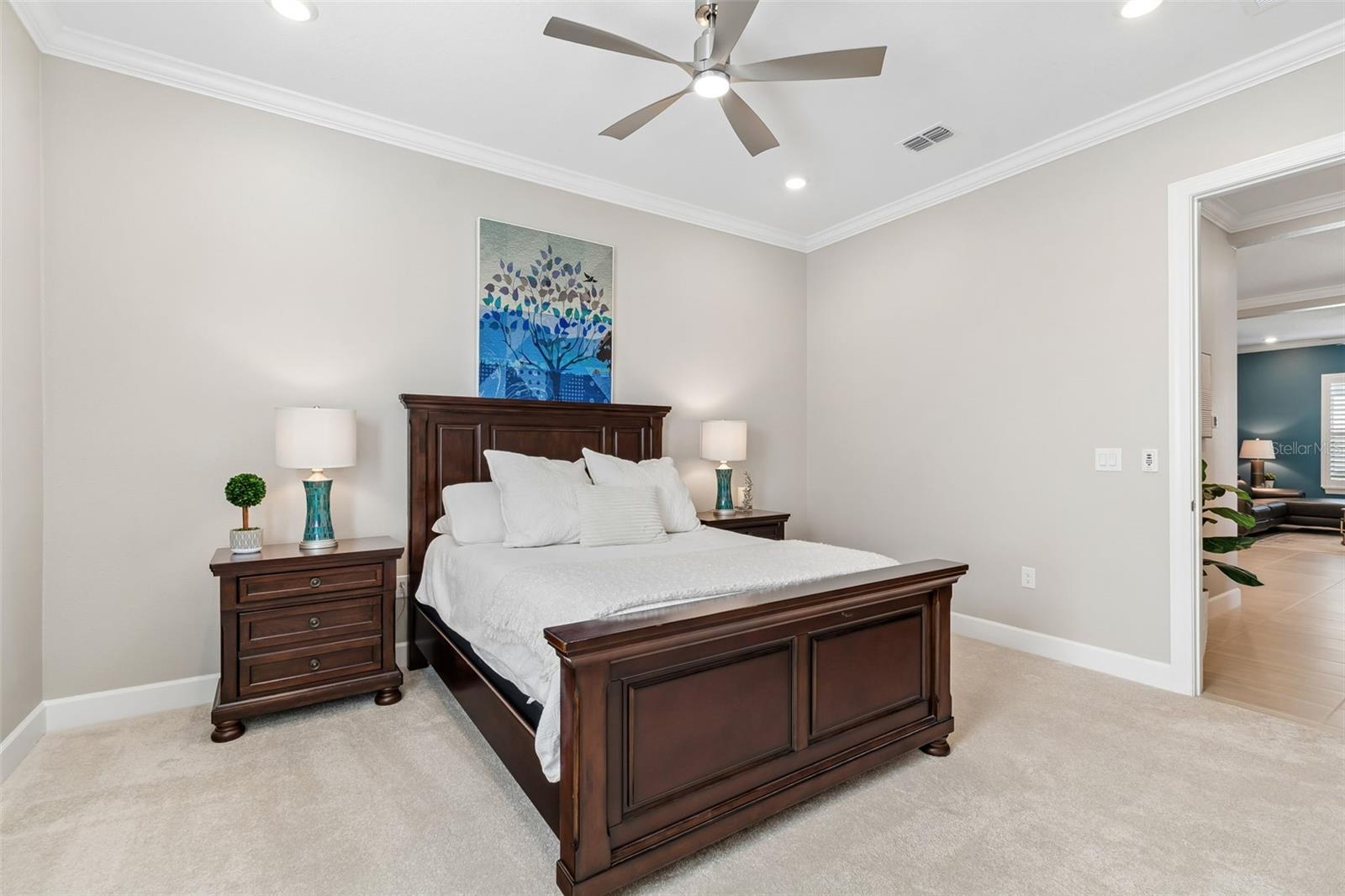 4795 Freccia Loop Property Photo 45